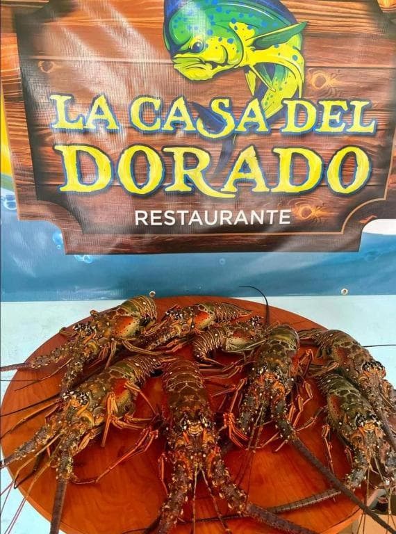 Aguada of the Seas, Aguada, photo 4