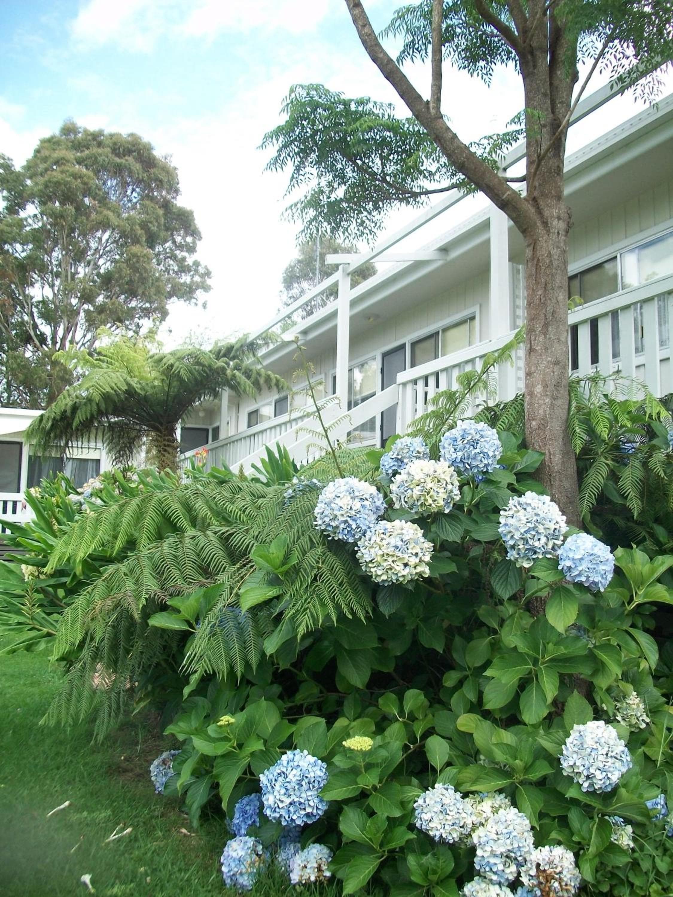Top of the Lake Holiday Units, Merimbula, photo 3