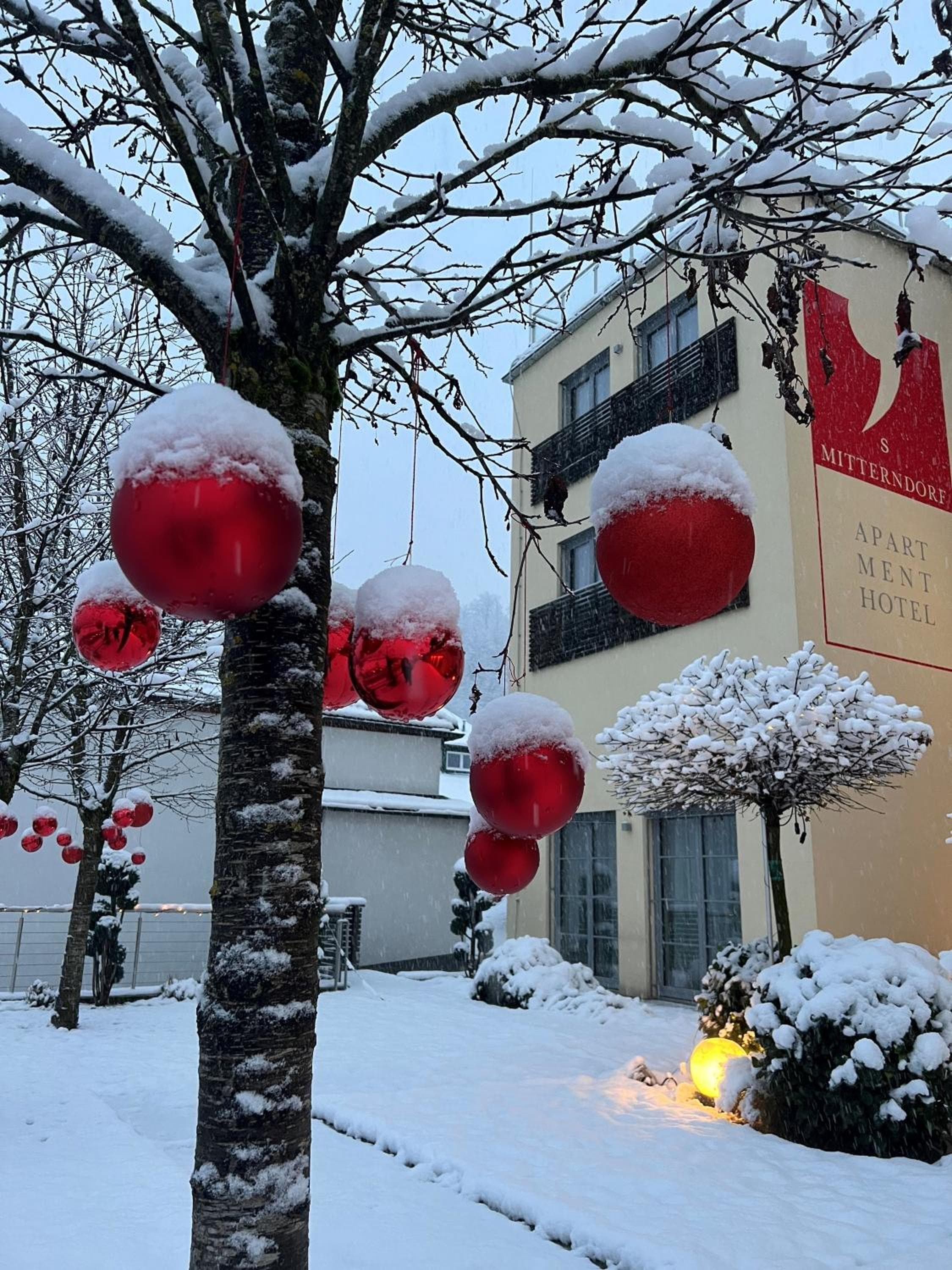 Apartmenthotel 's Mitterndorf, Traunkirchen, photo 3
