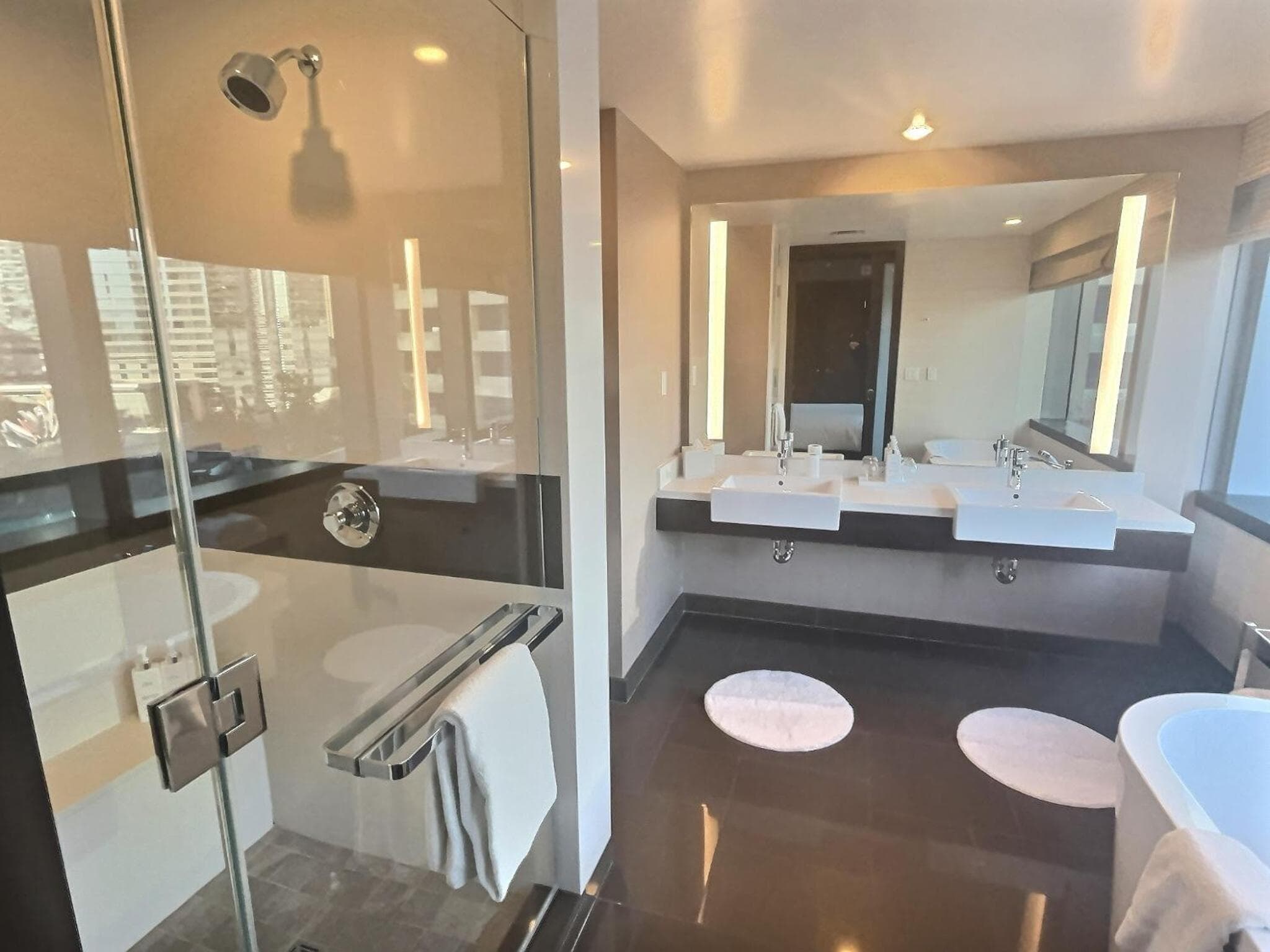 Jet Luxury at The Vdara, Las Vegas, photo 6