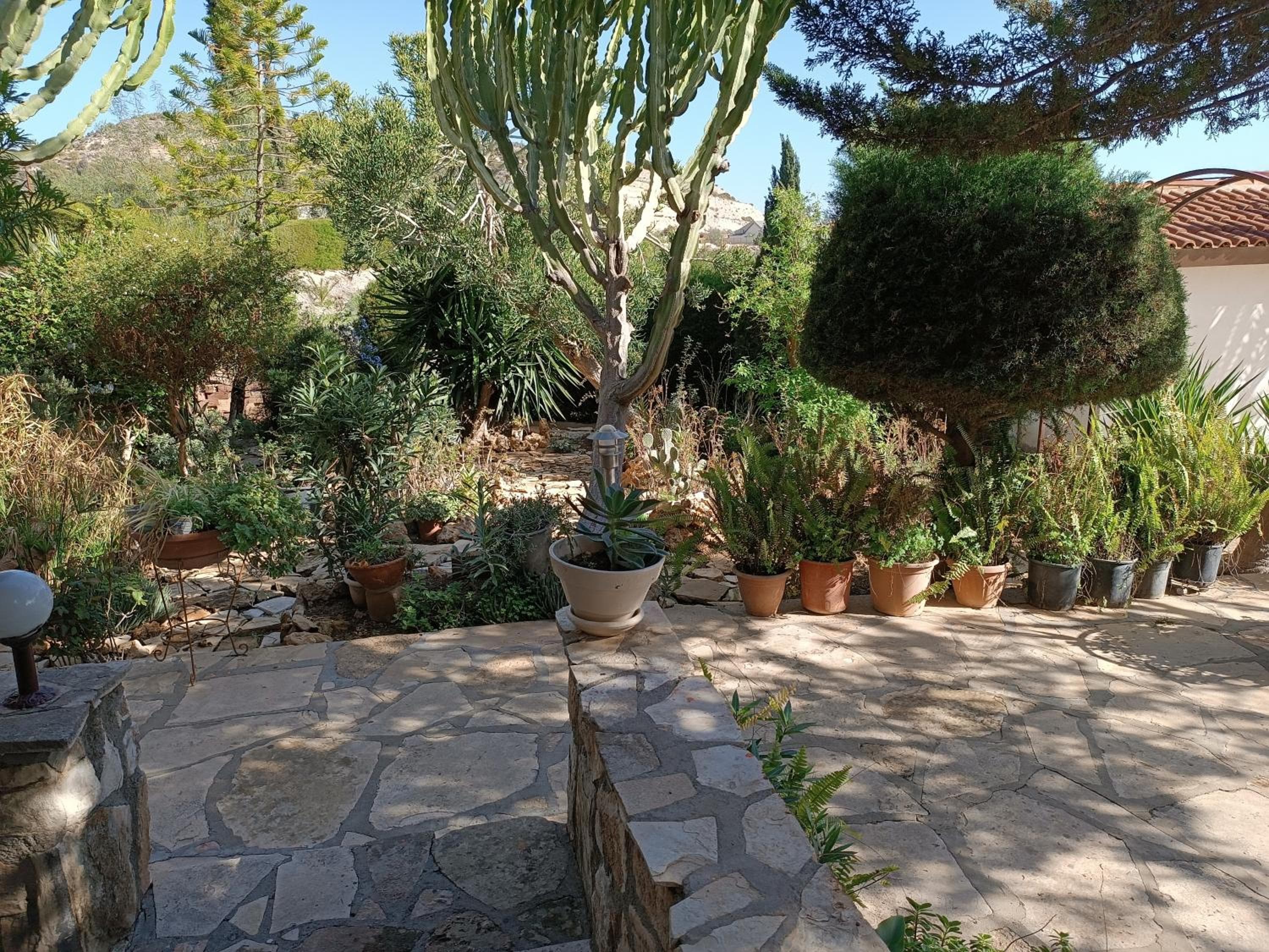 Rantzo Holiday Apartments, Pissouri, photo 4