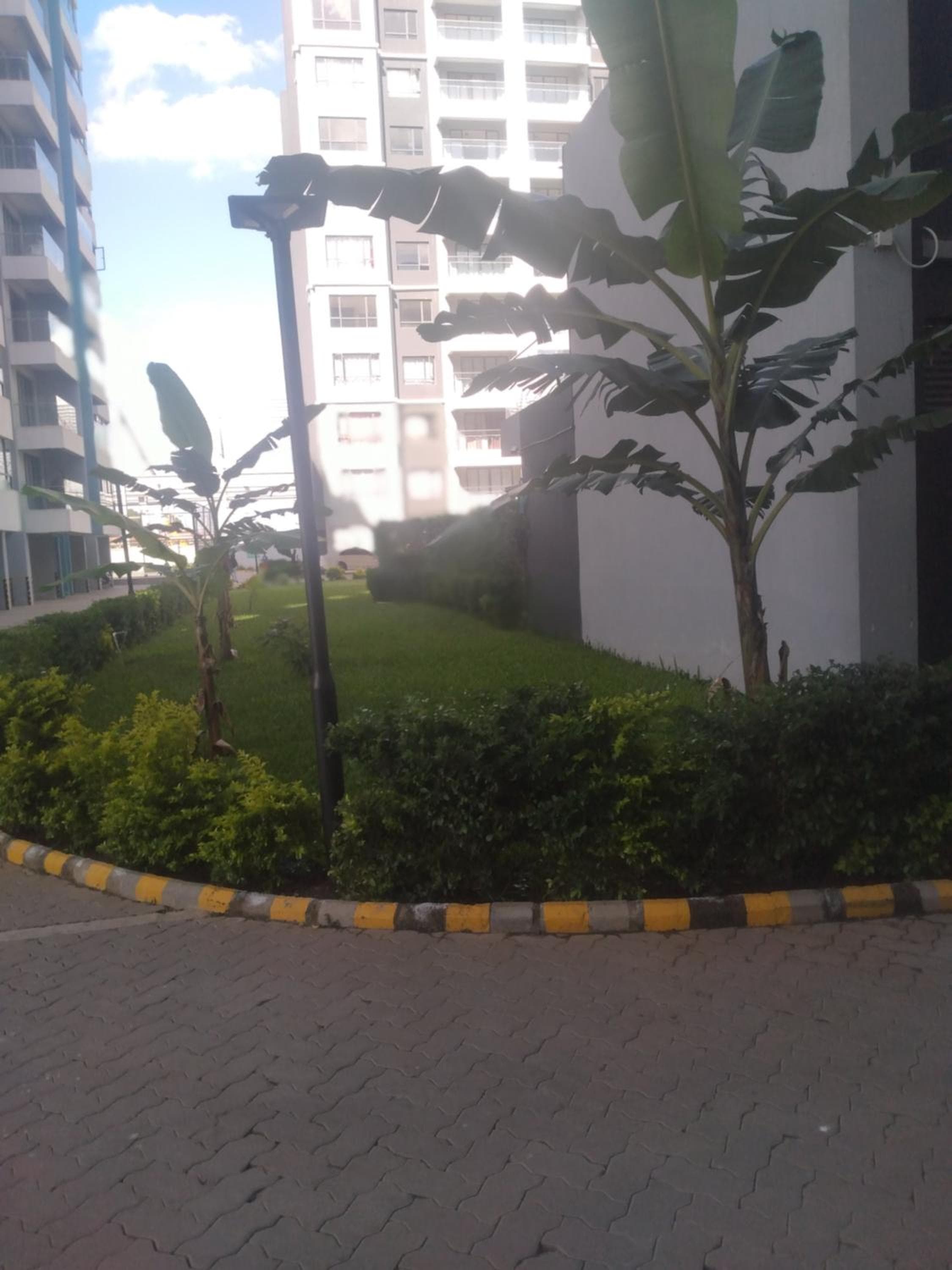 Jkia Airport 24 Hours Transit studio next 67hotel, Nairobi, photo 6