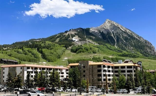 Walk to Lifts, Pet Friendly, Hot Tub, Bus to Town, Crested Butte, photo 6