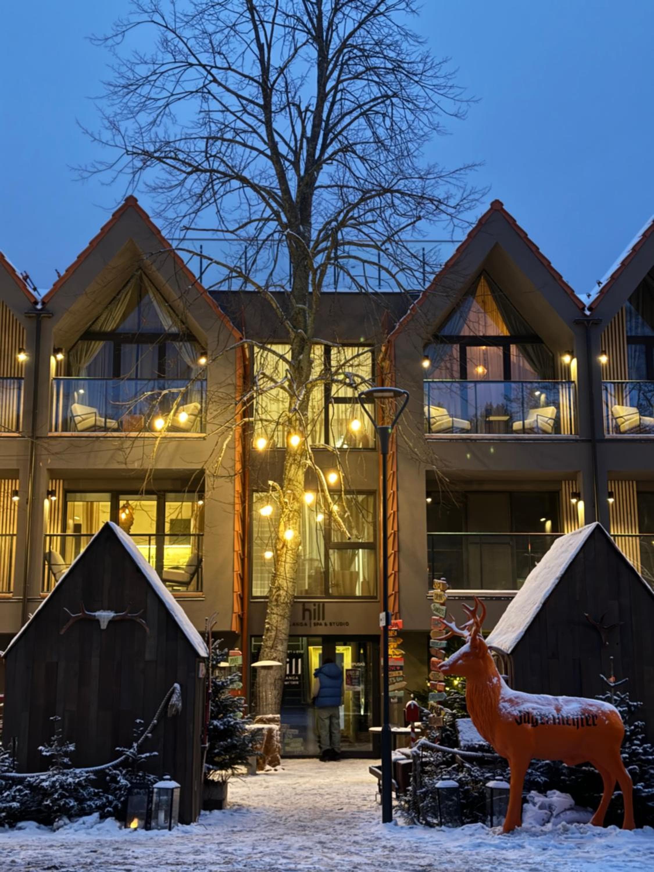 Hill Palanga & SPA, Palanga, photo 6