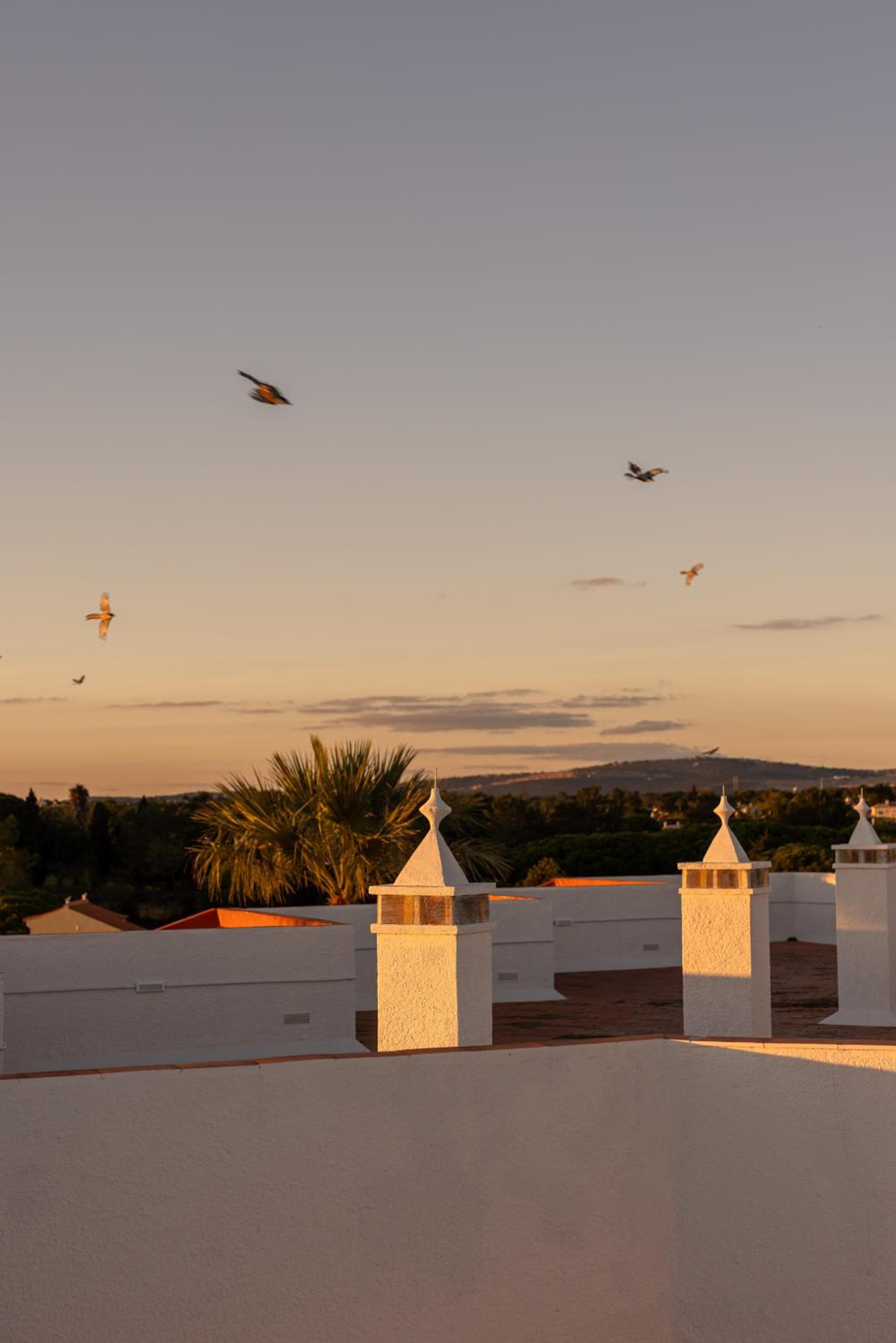 Outsite Vilamoura - Work, Connect, Explore, Quarteira, photo 2