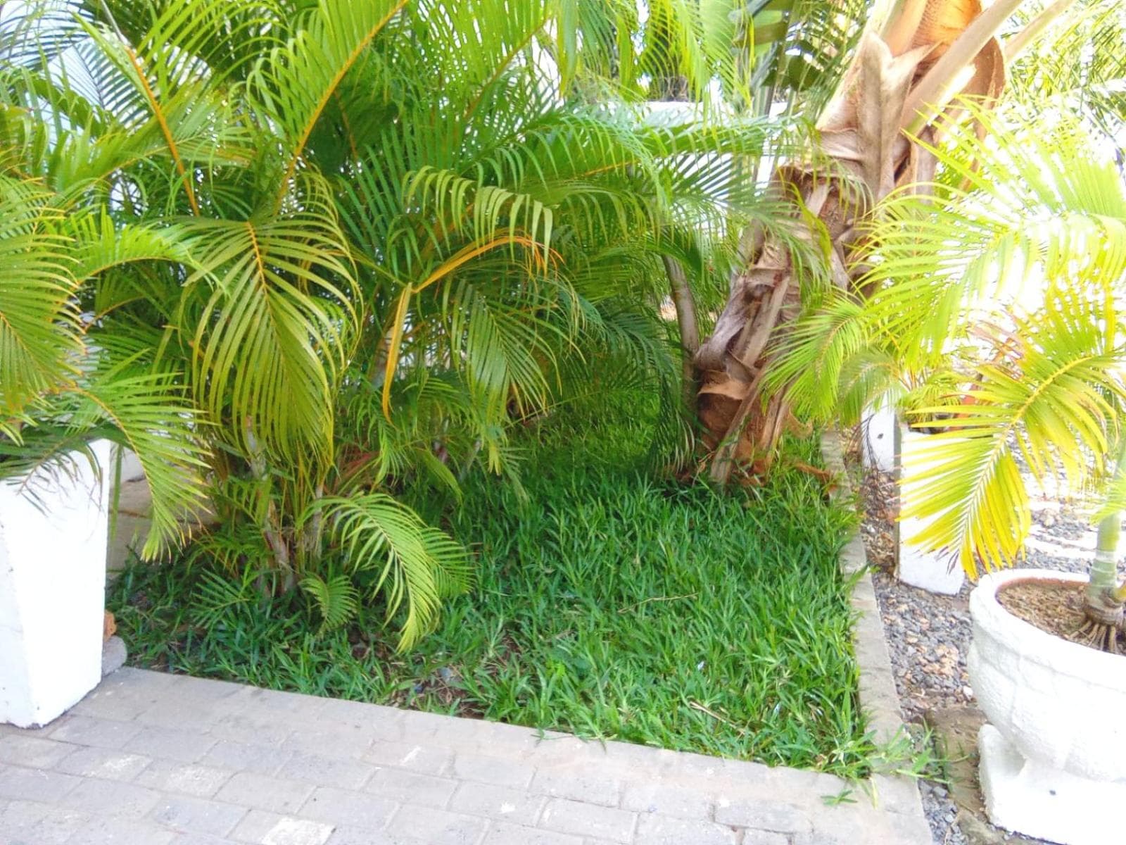 Milalana Guest Hotel & Residences, Malindi, photo 5