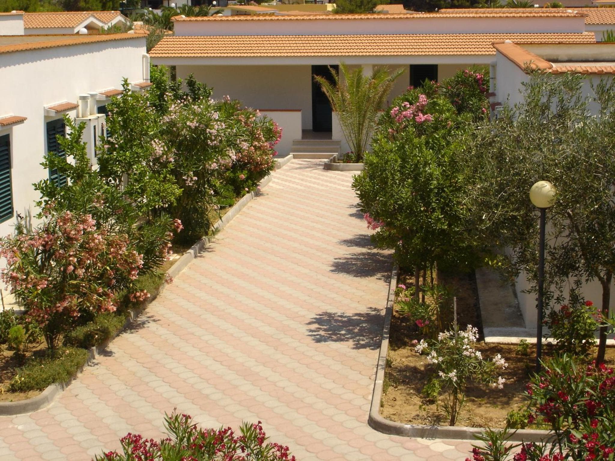 Residence Sun Bay, Vieste, photo 6