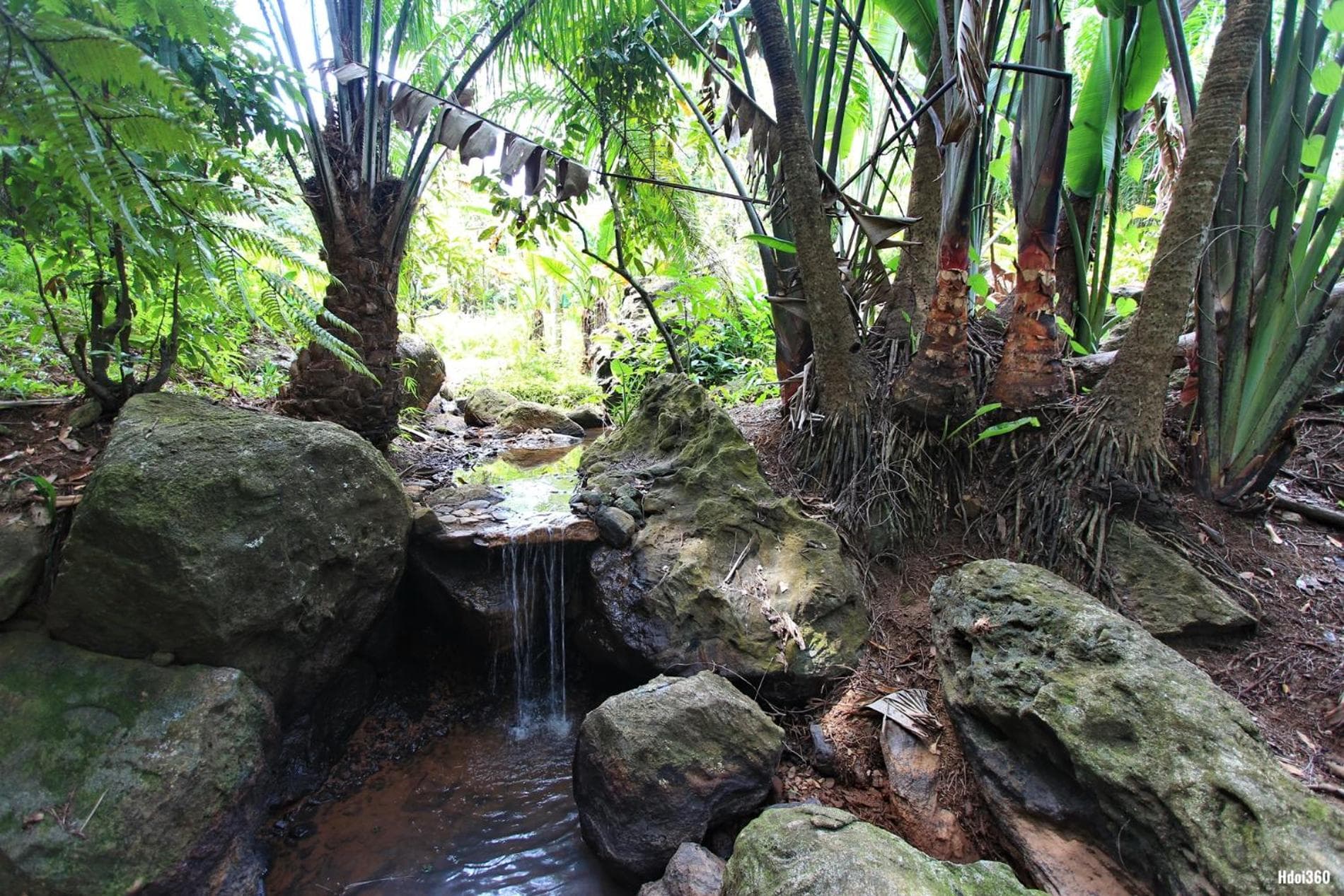 Natiora Green Lodge, Sainte Marie, photo 4