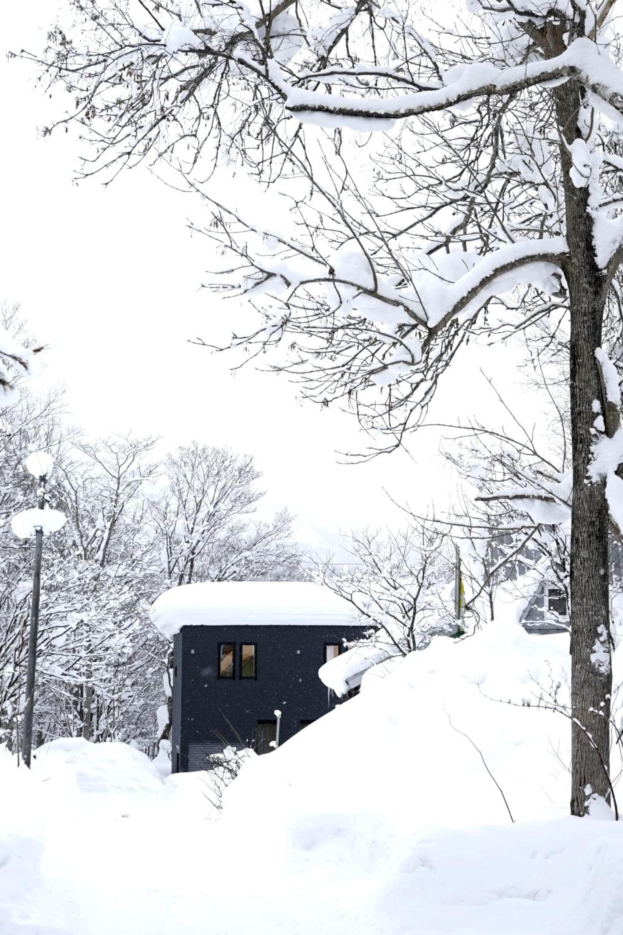 Yukimi Hirafu, Niseko, photo 6