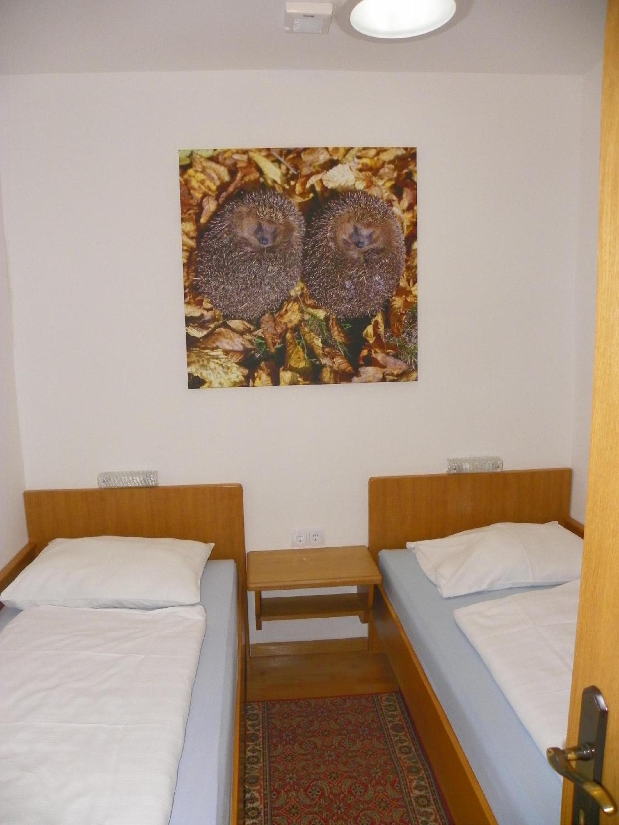 Ferienwohnung Ski-Hans, Planneralm, photo 6