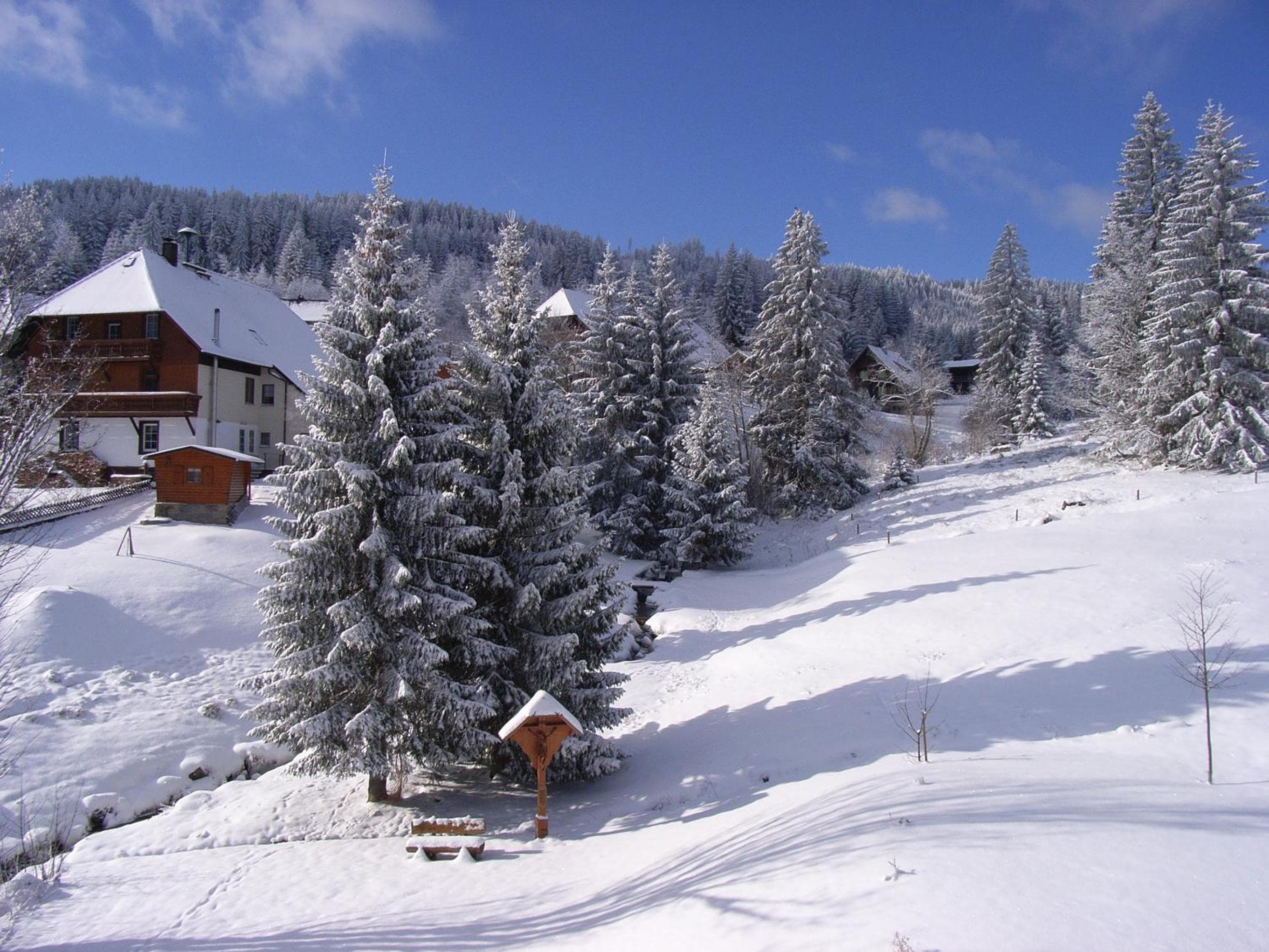 Schwarzwald-Hotel Kraeutle, Feldberg, photo 5