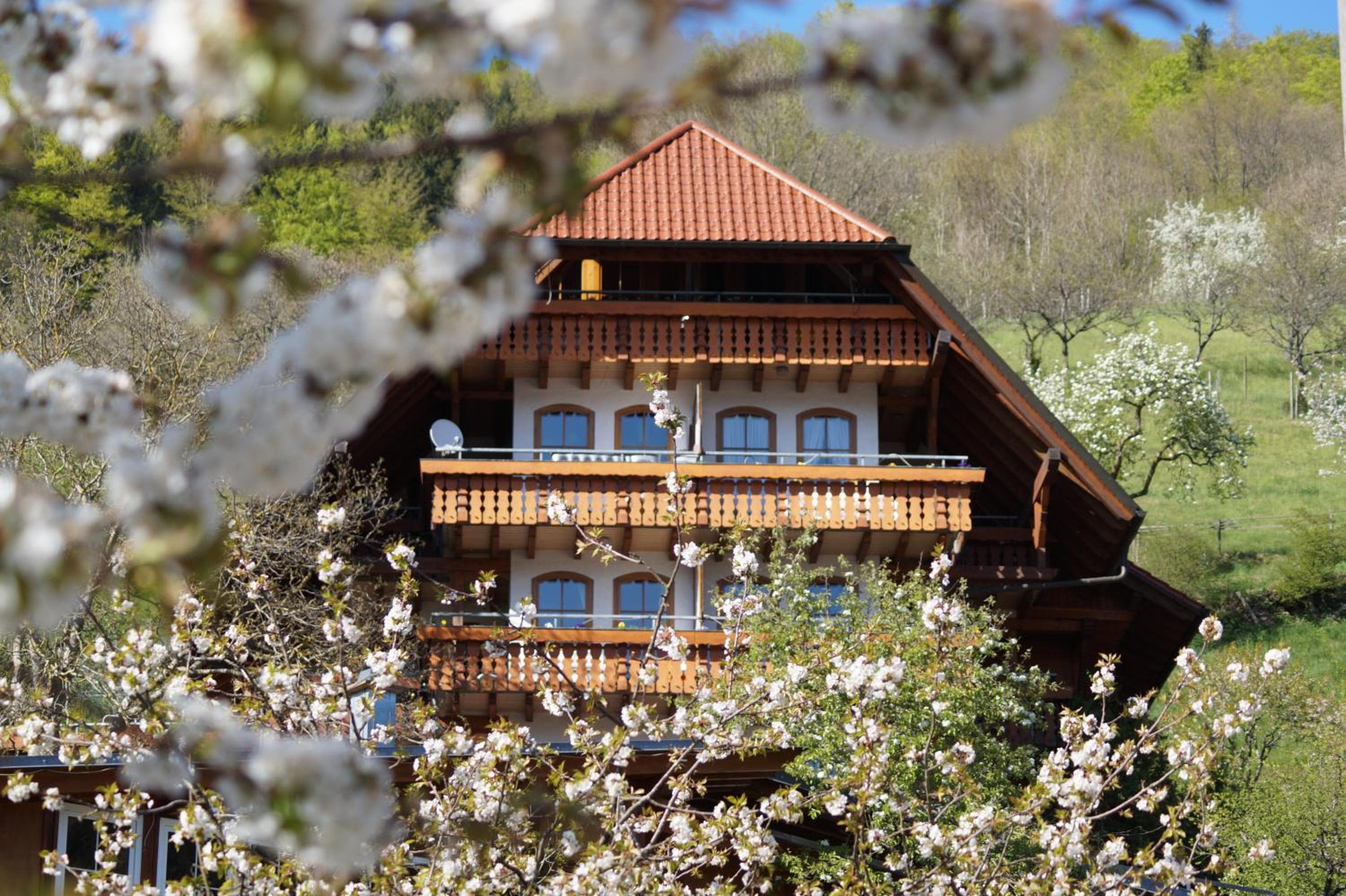 Ehrenmättlehof Faißt, Bad Peterstal-Griesbach