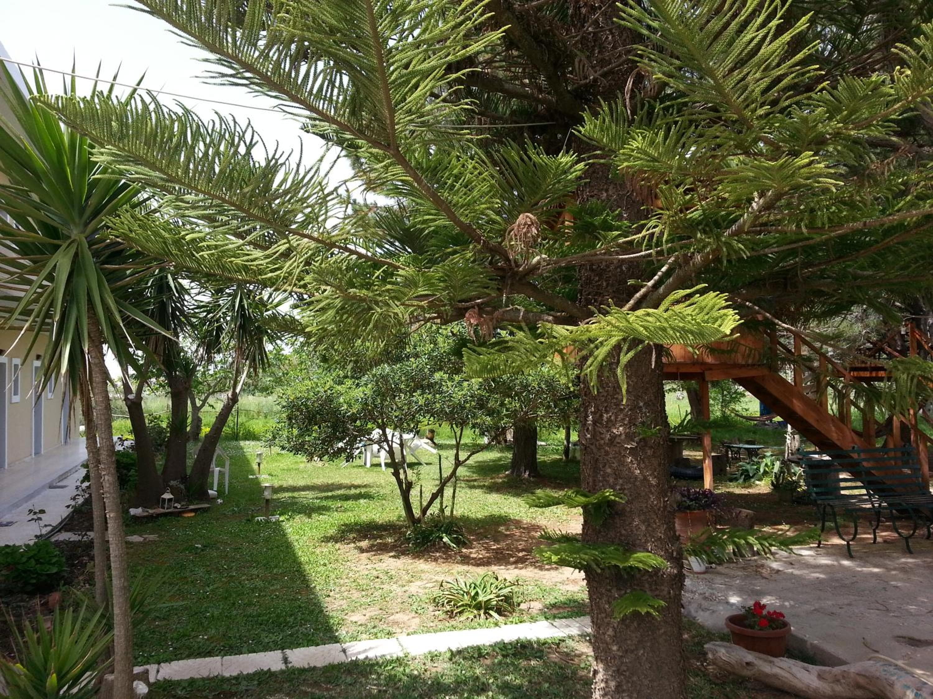 Gongis Studios, Agios Georgios, photo 4