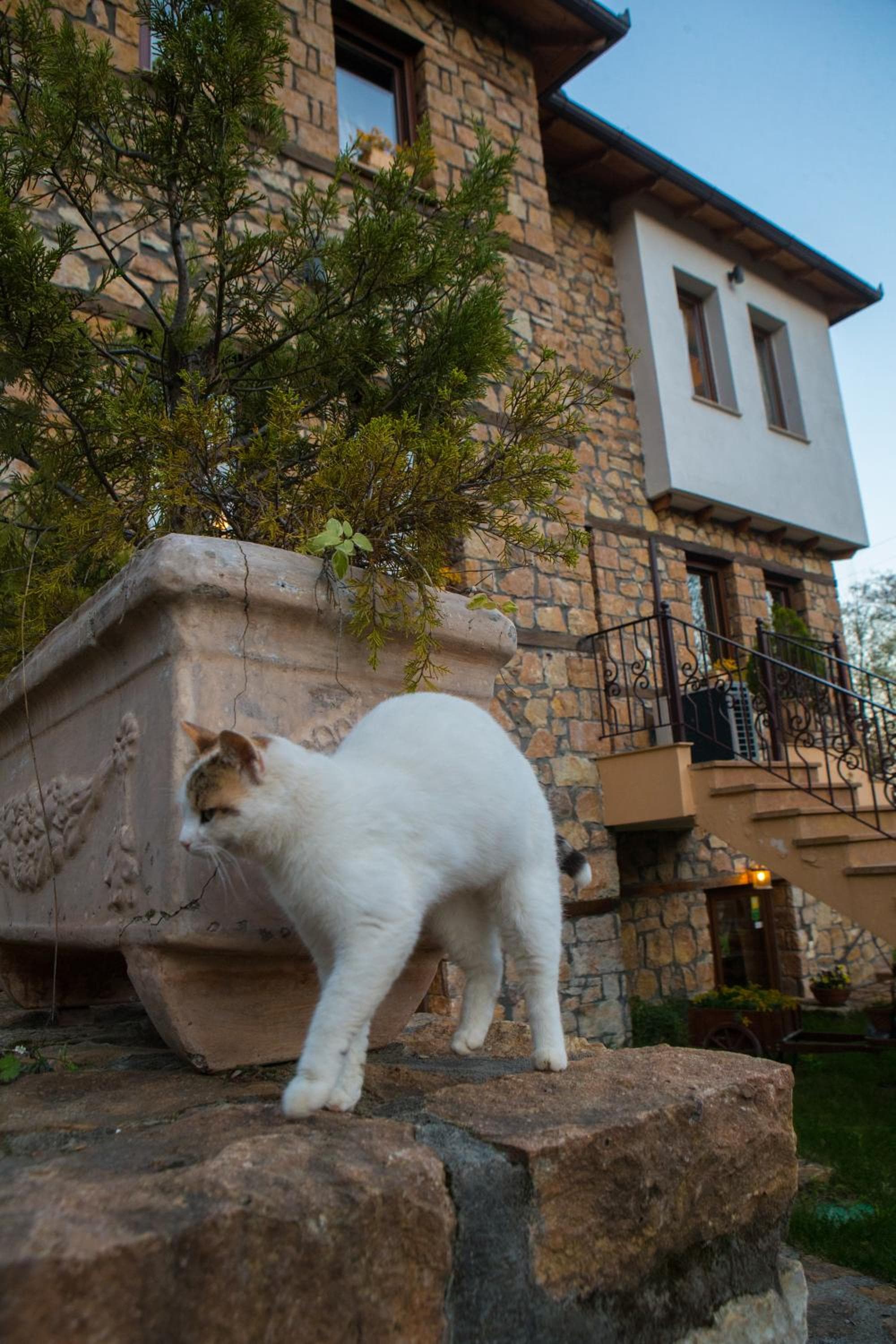 Archontiko Emmanouilidi Suites, Kato Loutraki, photo 6