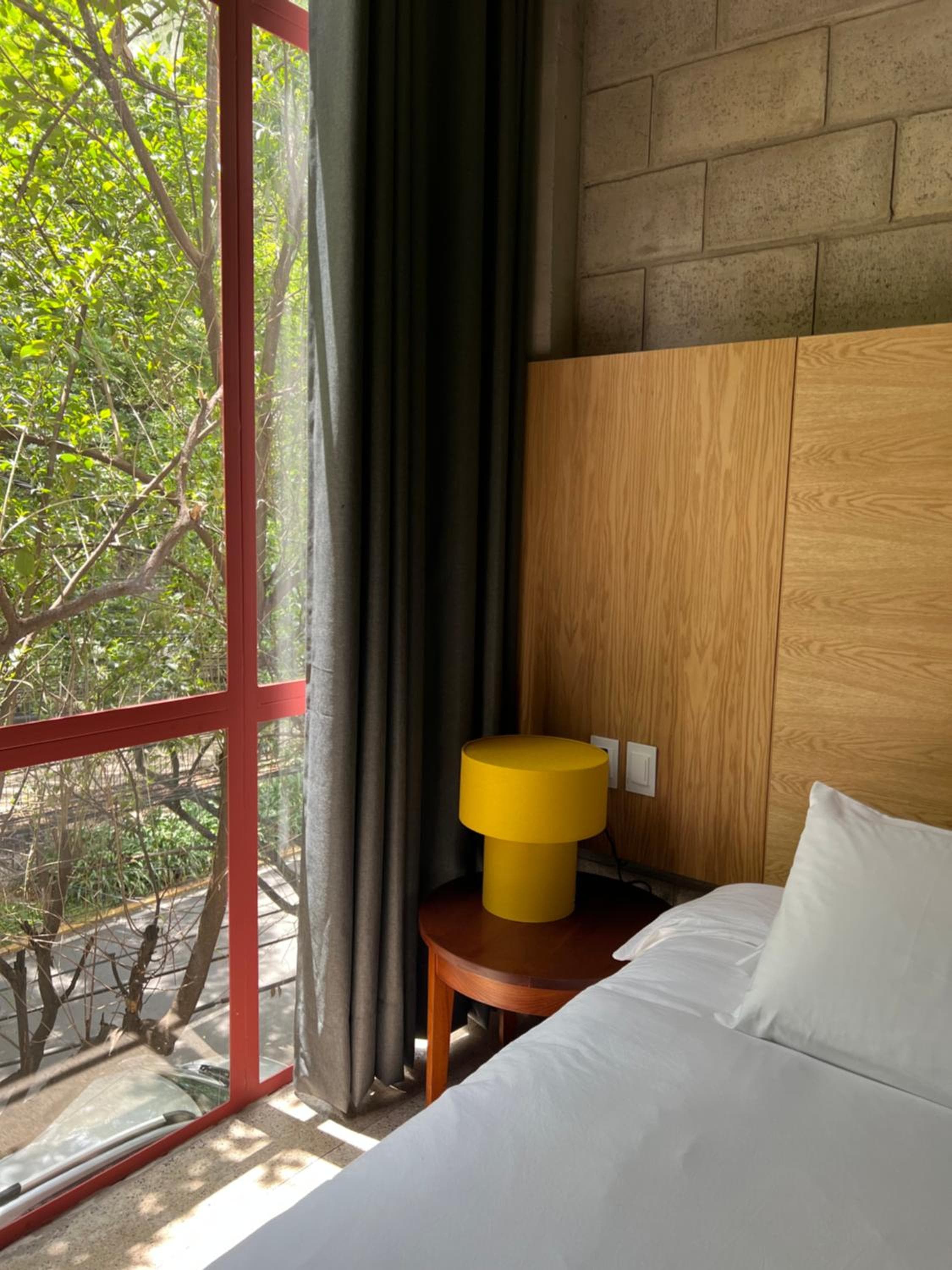 Xolo Condesa, photo 4