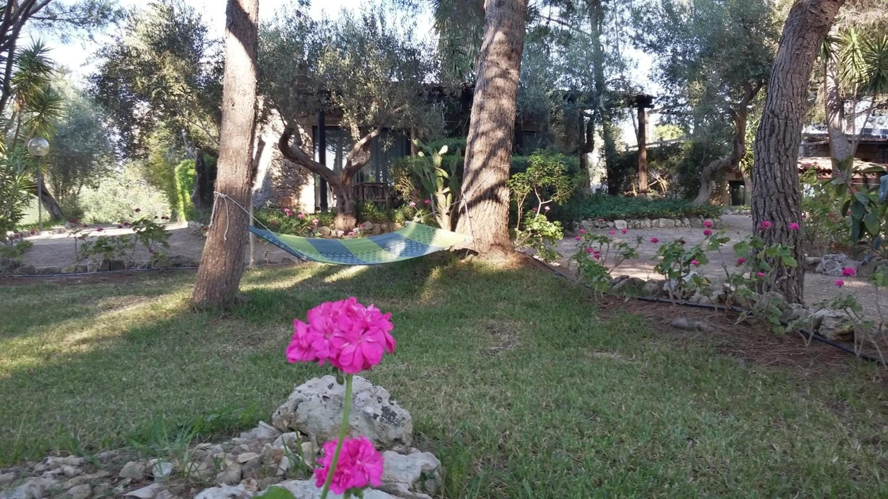 Tenuta Terenzano, Torre San Giovanni Ugento, photo 3
