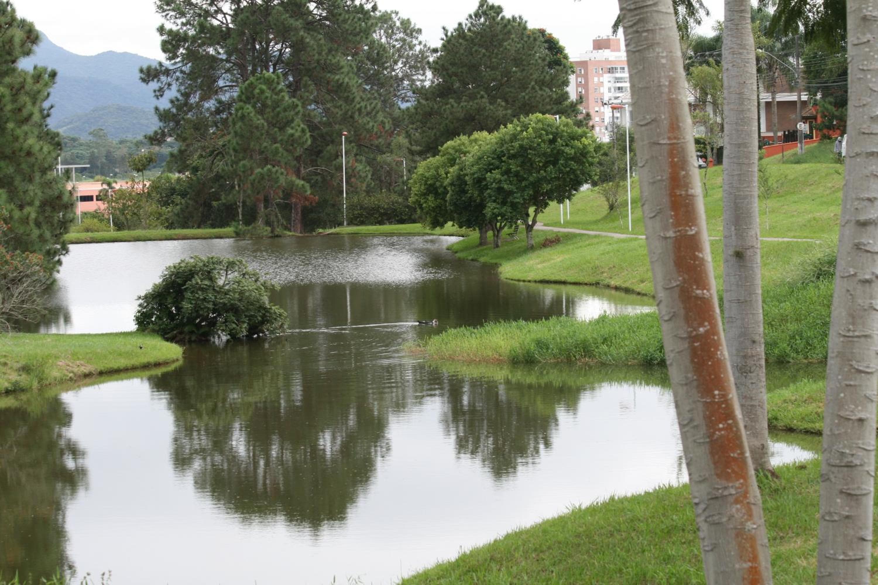 Flat Pedra Branca Hotel, Palhoça, photo 3