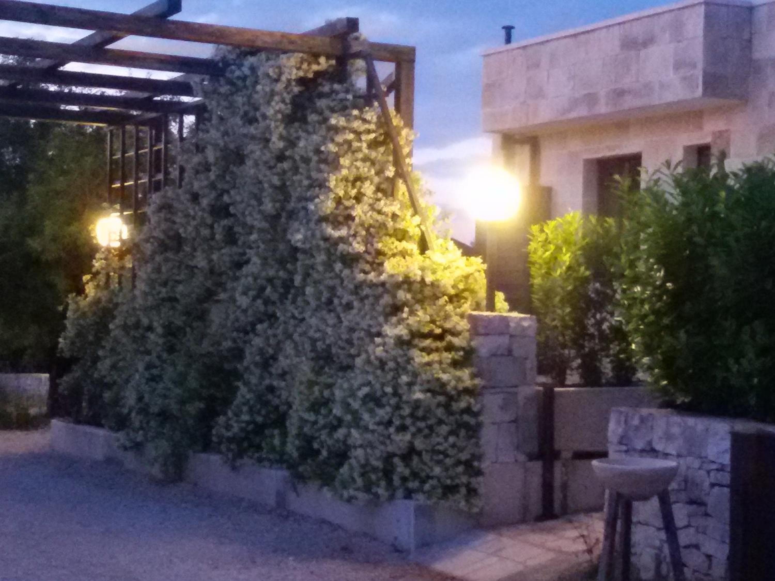 La Trullesa Holiday, Alberobello, photo 4