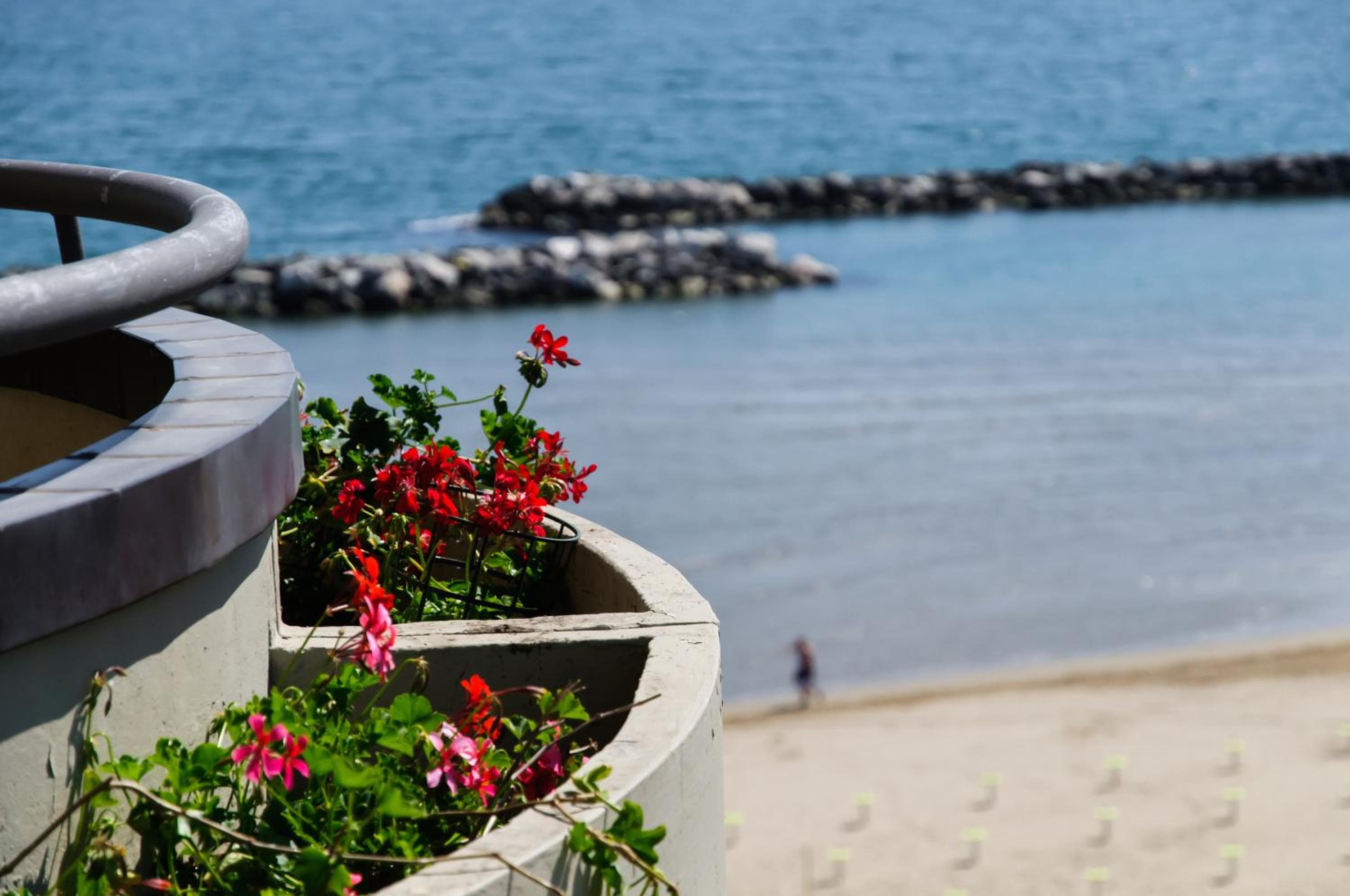 Residence Belvedere Vista - SeaFront, Rimini, photo 2