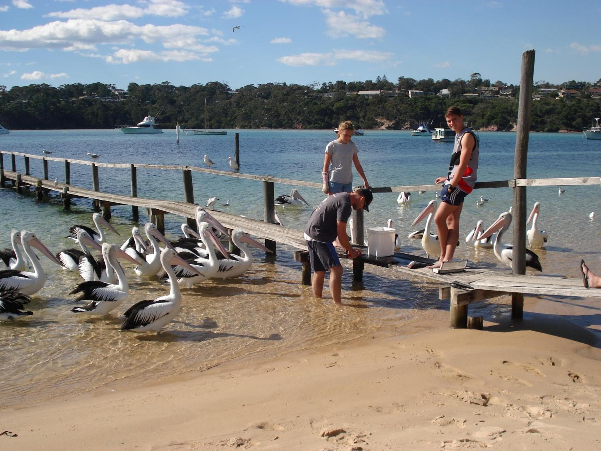 Bayview Apartments, Merimbula, photo 4