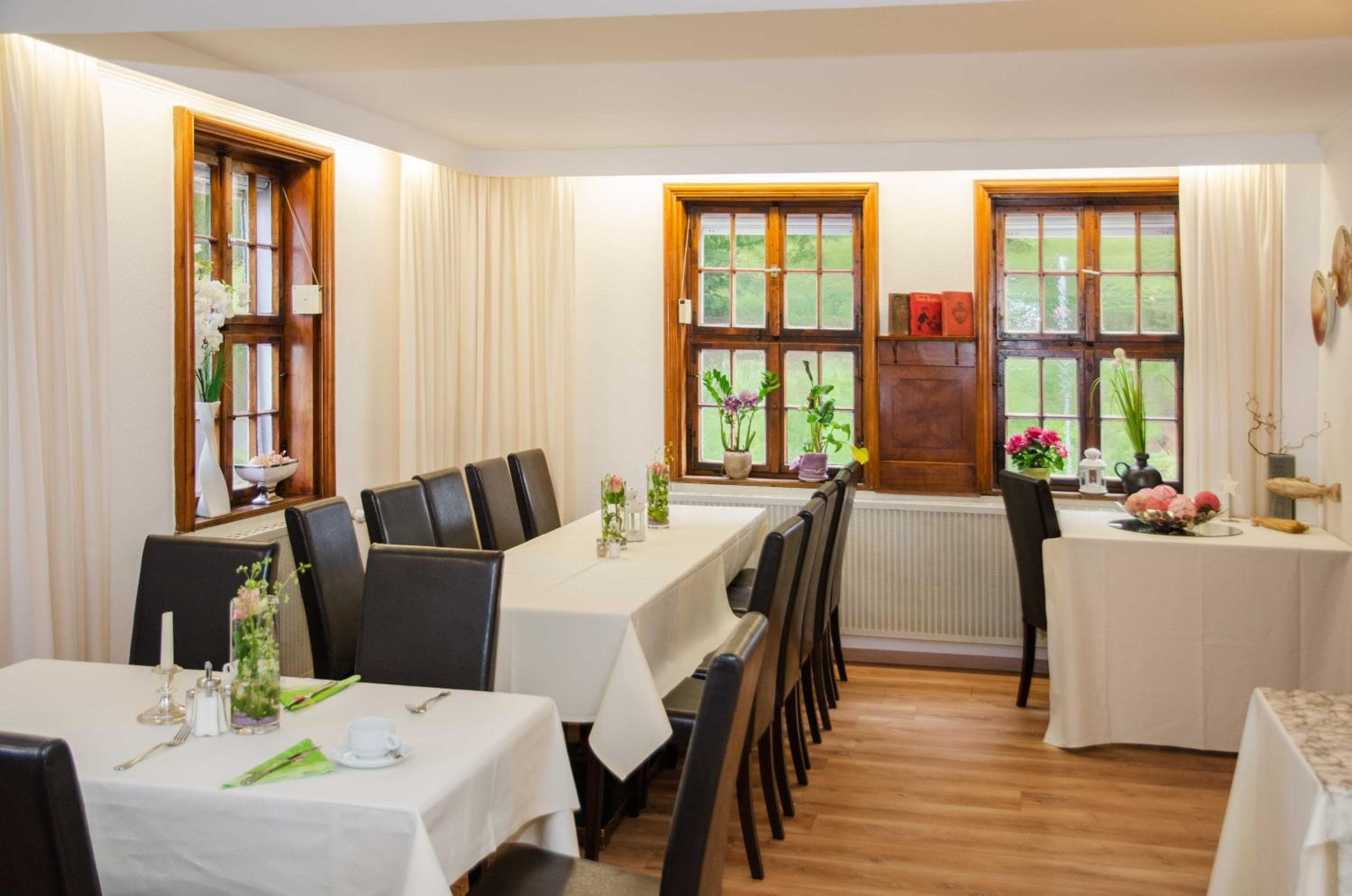 Apart Hotel Paradies, Bad Salzschlirf, photo 5