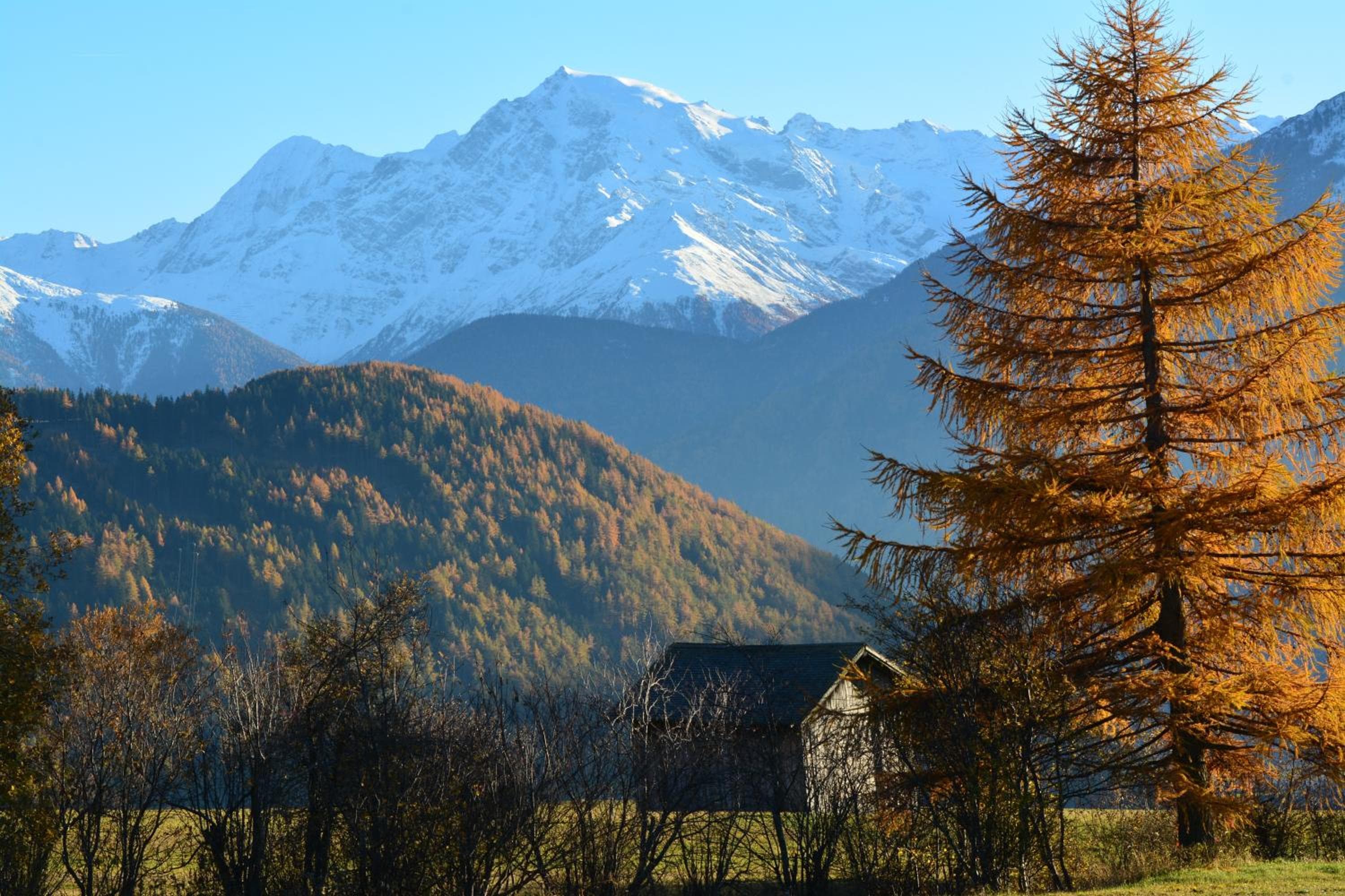 Das Moriggl, Burgusio, photo 2