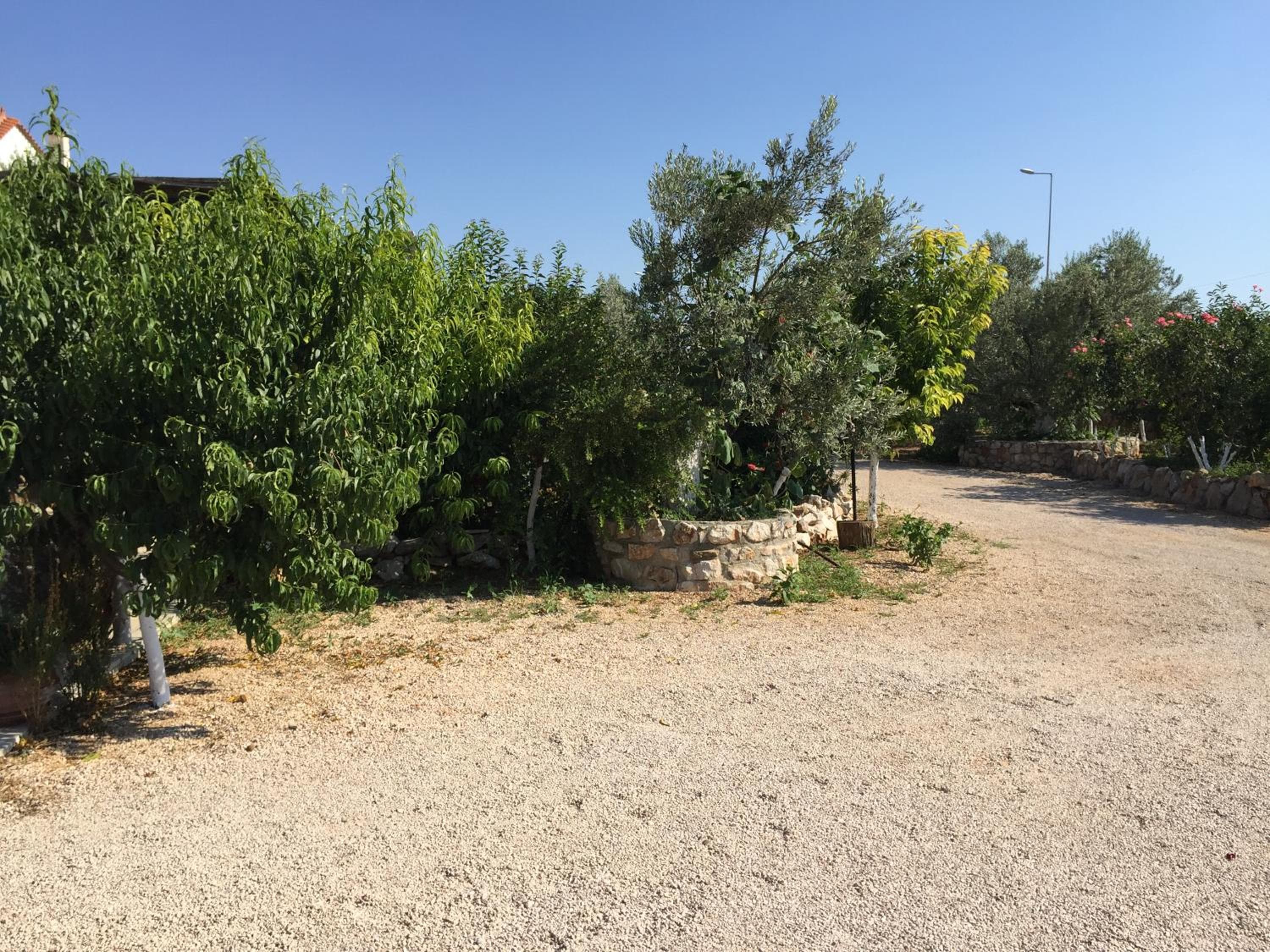 Hani Inn, Ligourio, photo 3