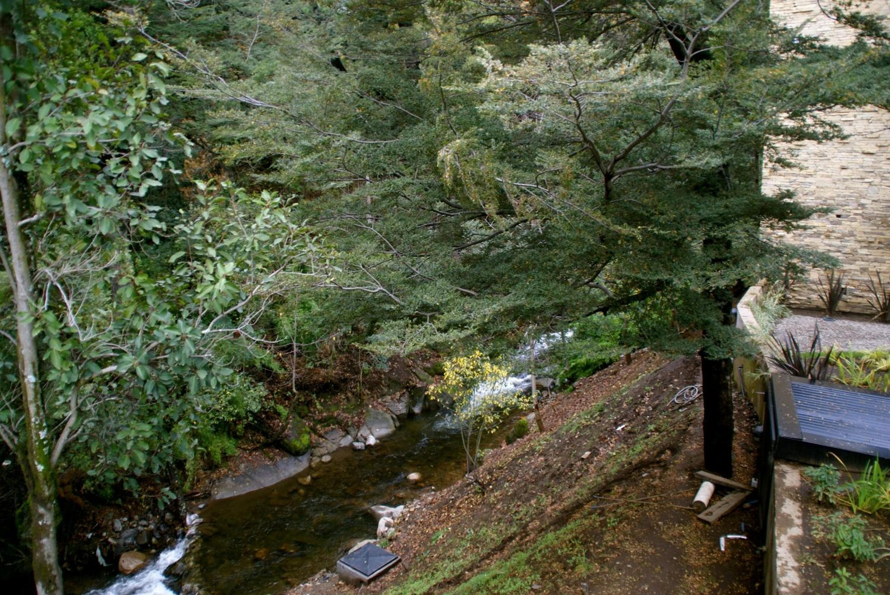 El Oasis Apart Hotel, San Martín de los Andes, photo 4