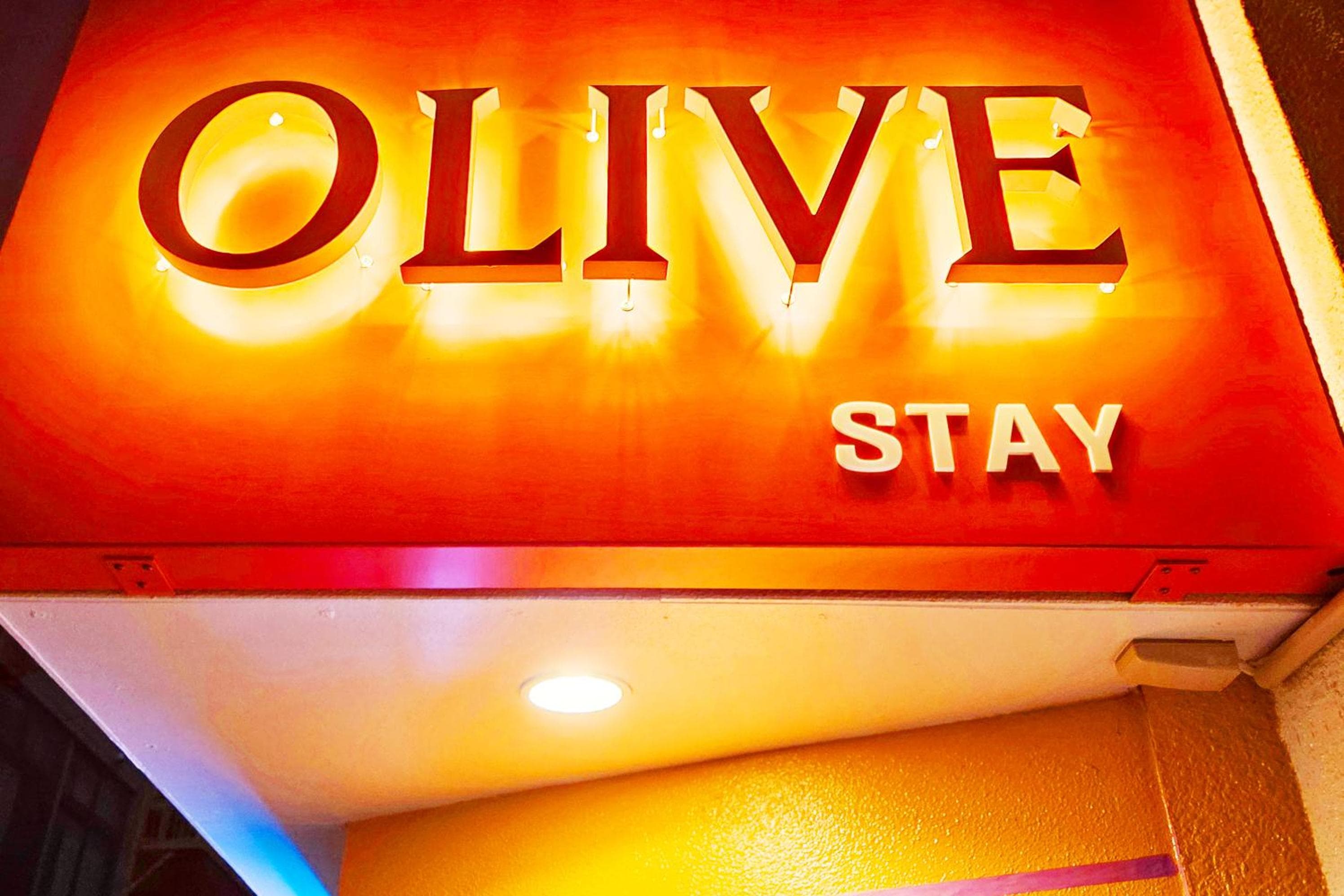 OLIVE Stay, photo 2