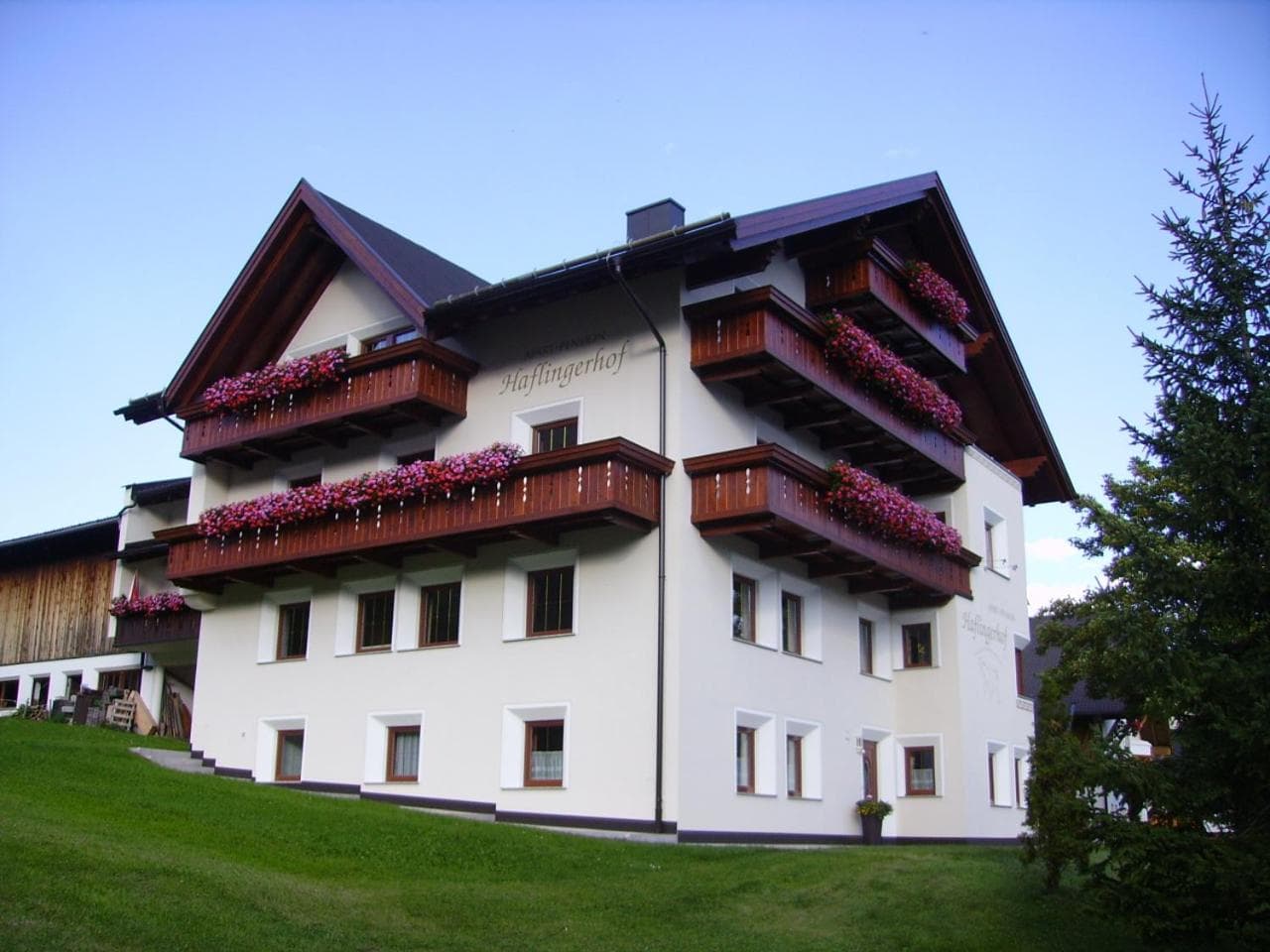 Haflingerhof, Fiss