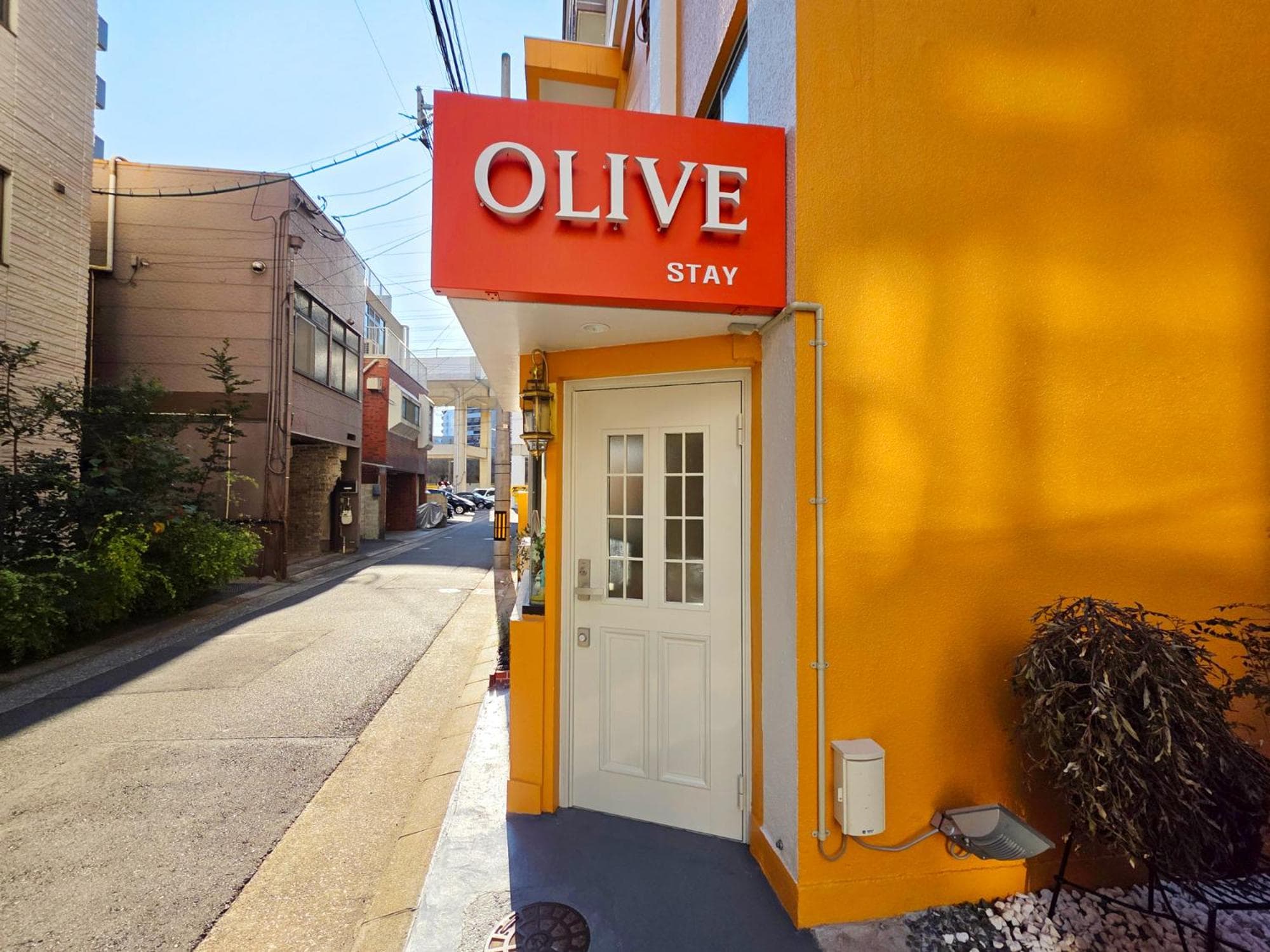 OLIVE Stay, photo 1