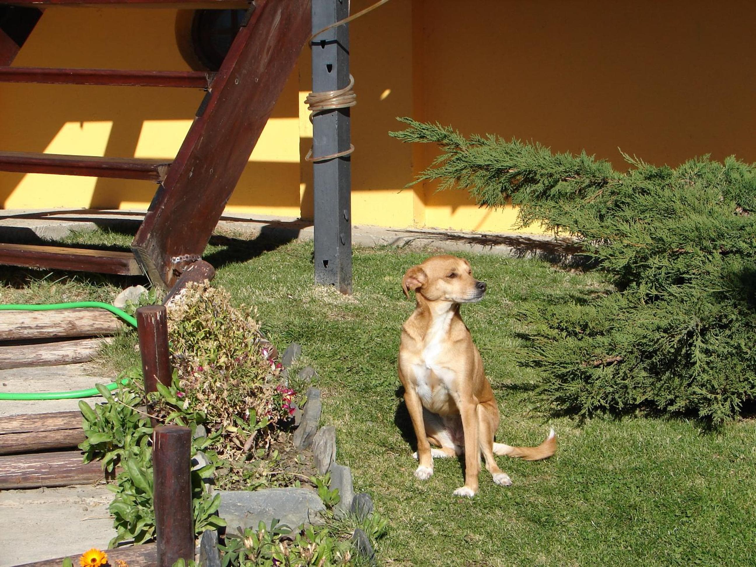 Cabañas Marias del Sur, El Calafate, photo 2