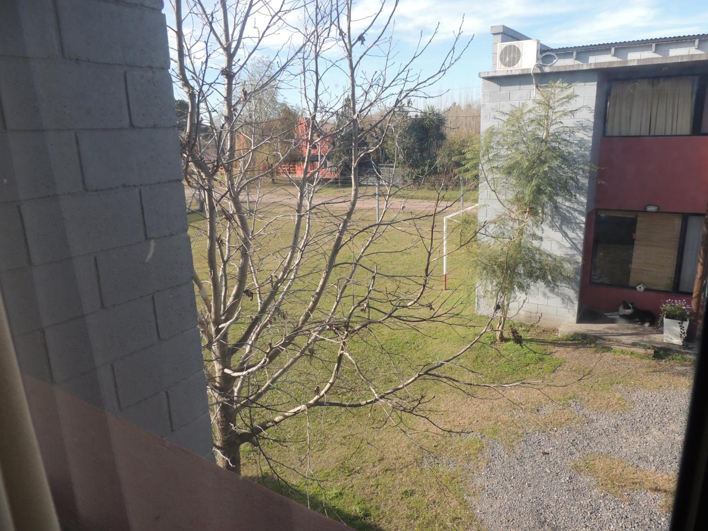 Aramis, Chascomús, photo 3