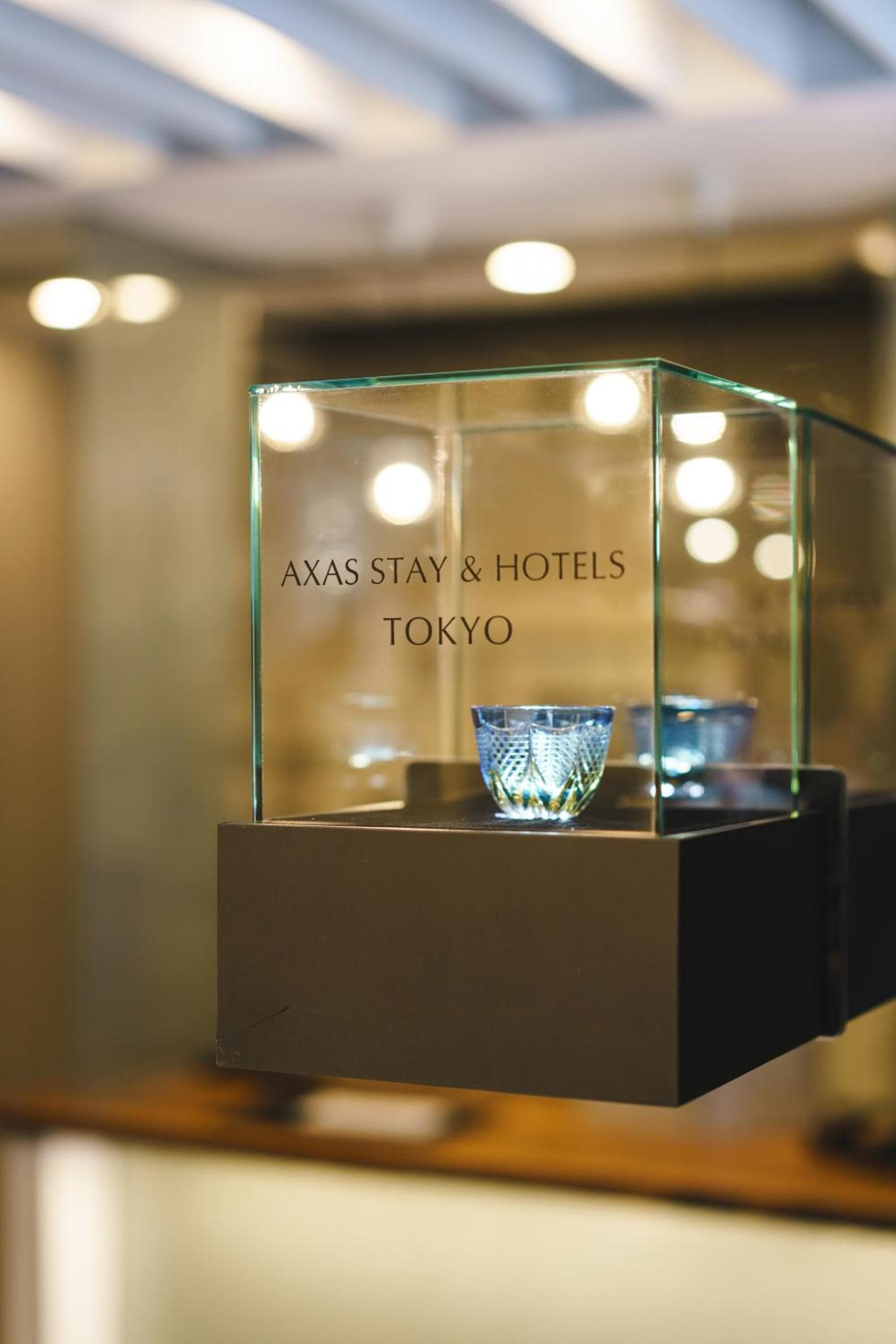 Hotel Axas Nihonbashi, Tokyo, photo 5