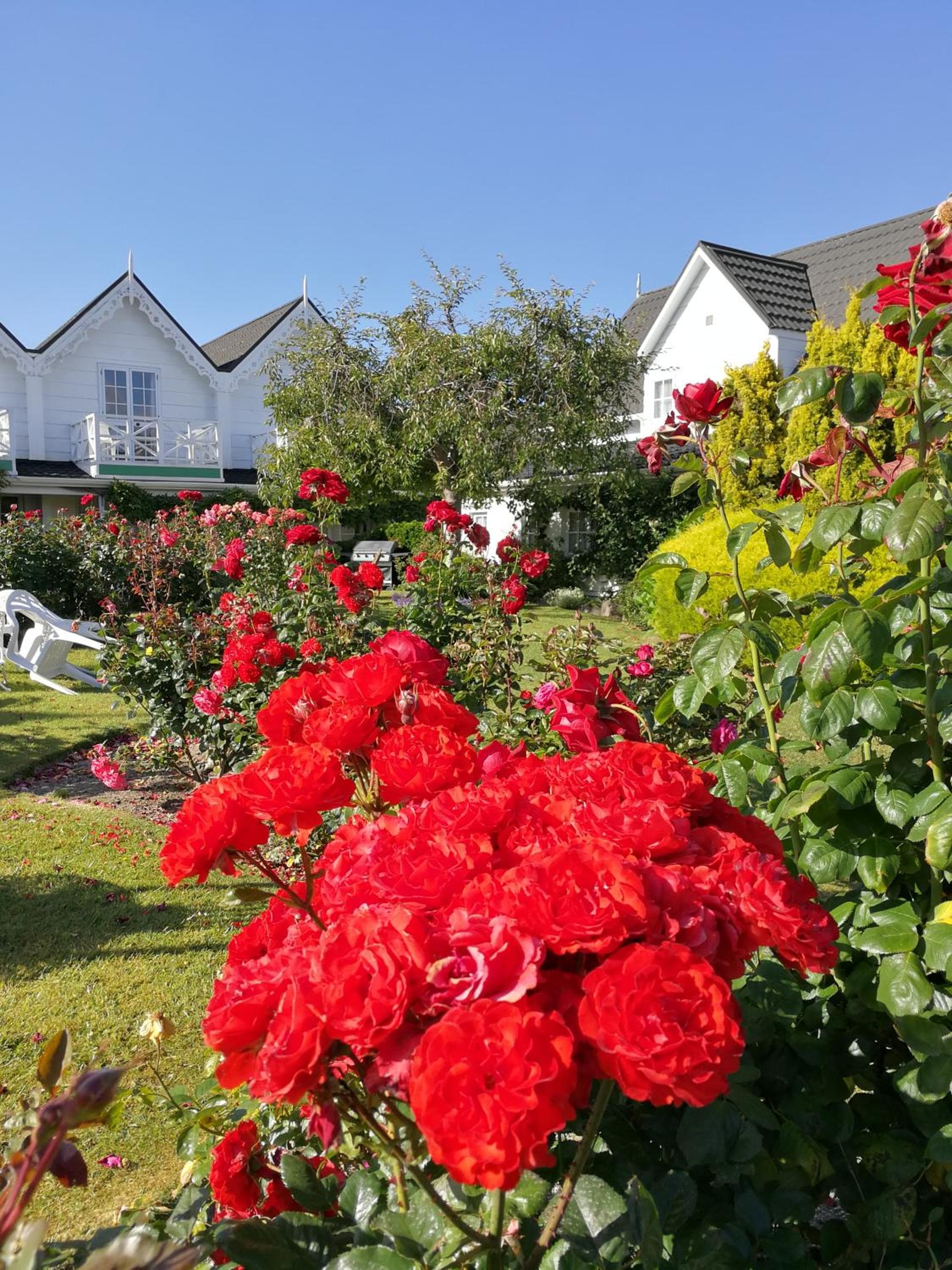 Phoenix Thermal Resort - Taupo, Taupo, photo 2