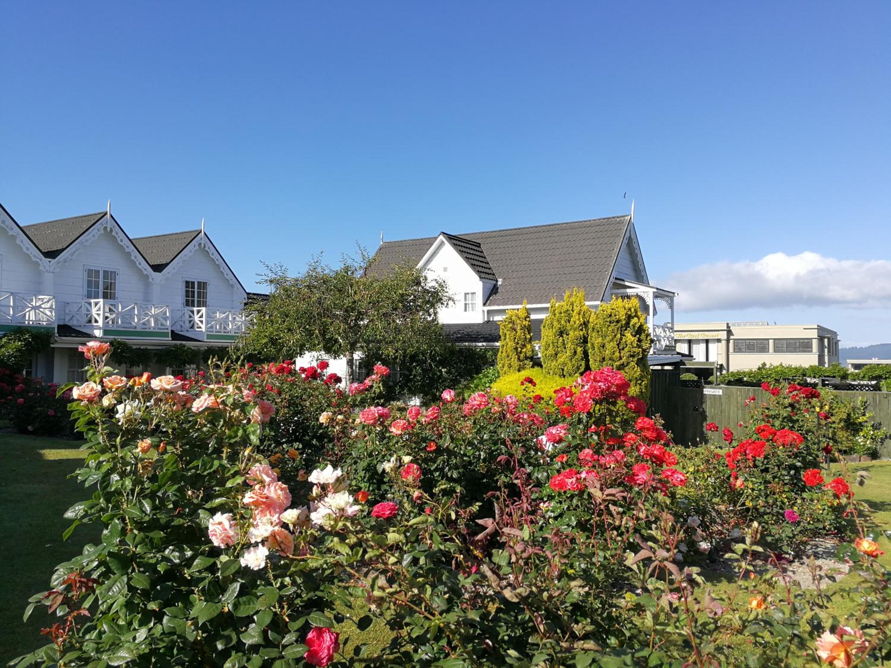Phoenix Thermal Resort - Taupo, Taupo, photo 5