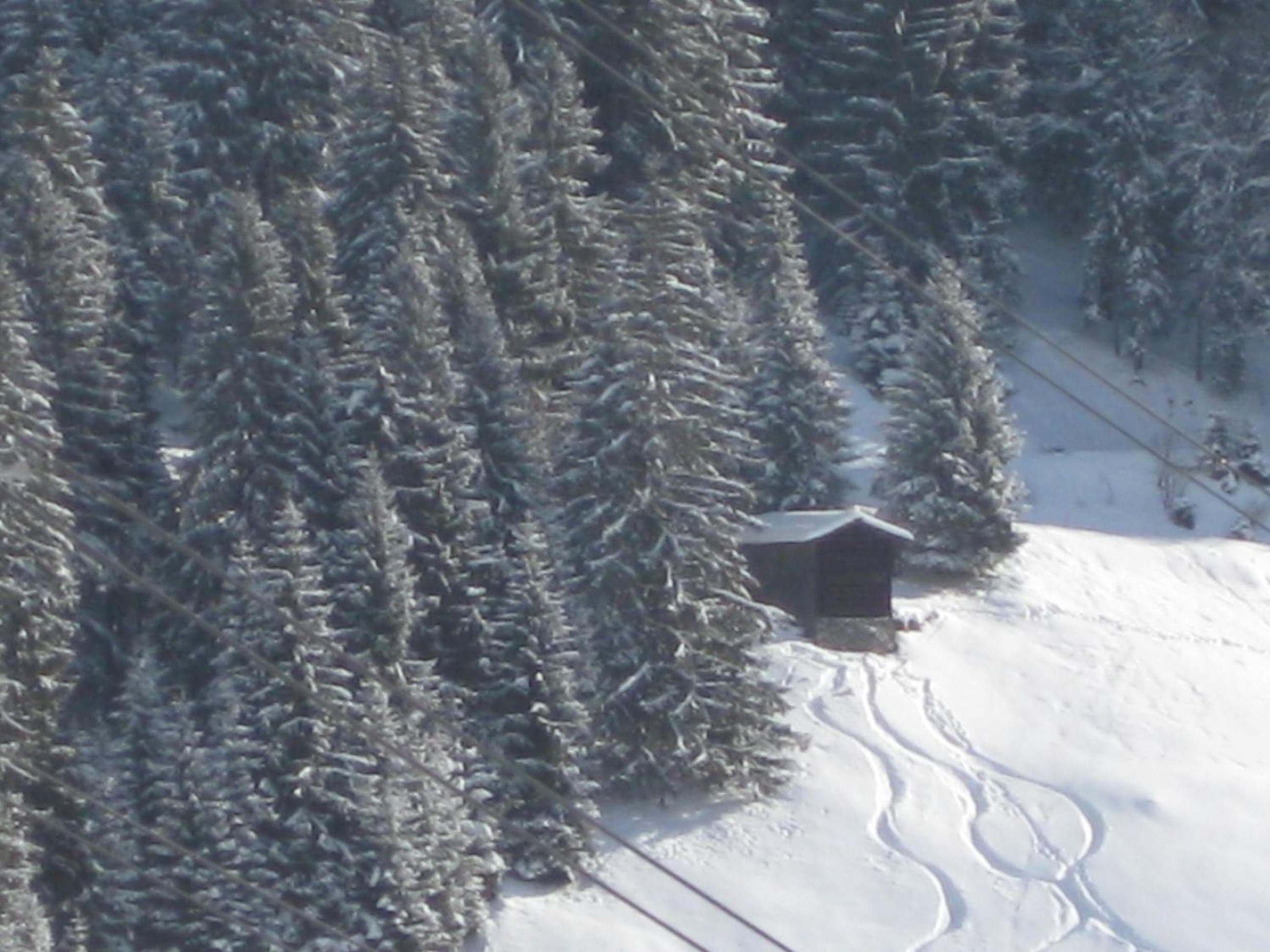 Apartmenthaus Immler, Gaschurn, photo 3