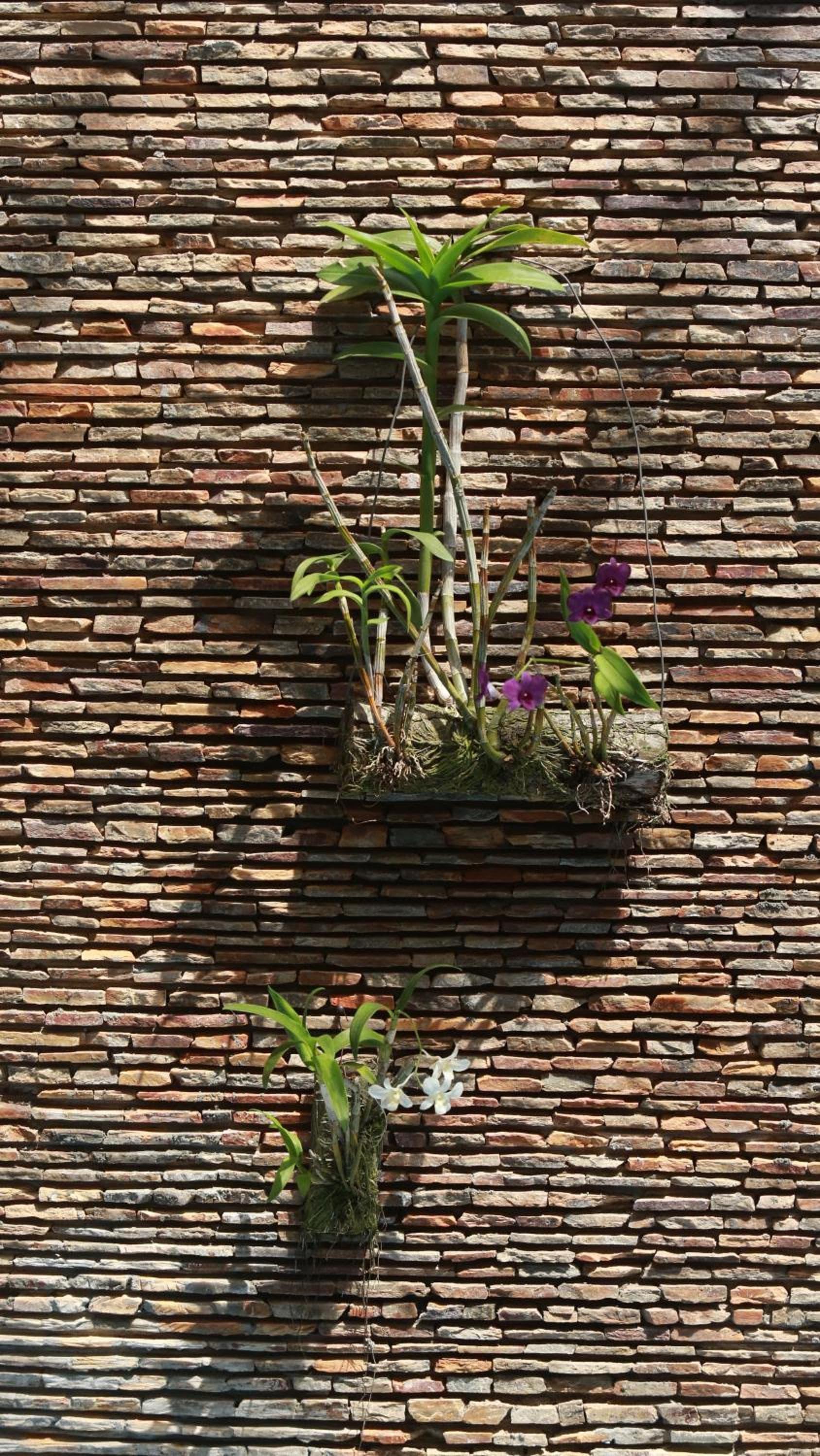 Ecologe, Abidjan, photo 3