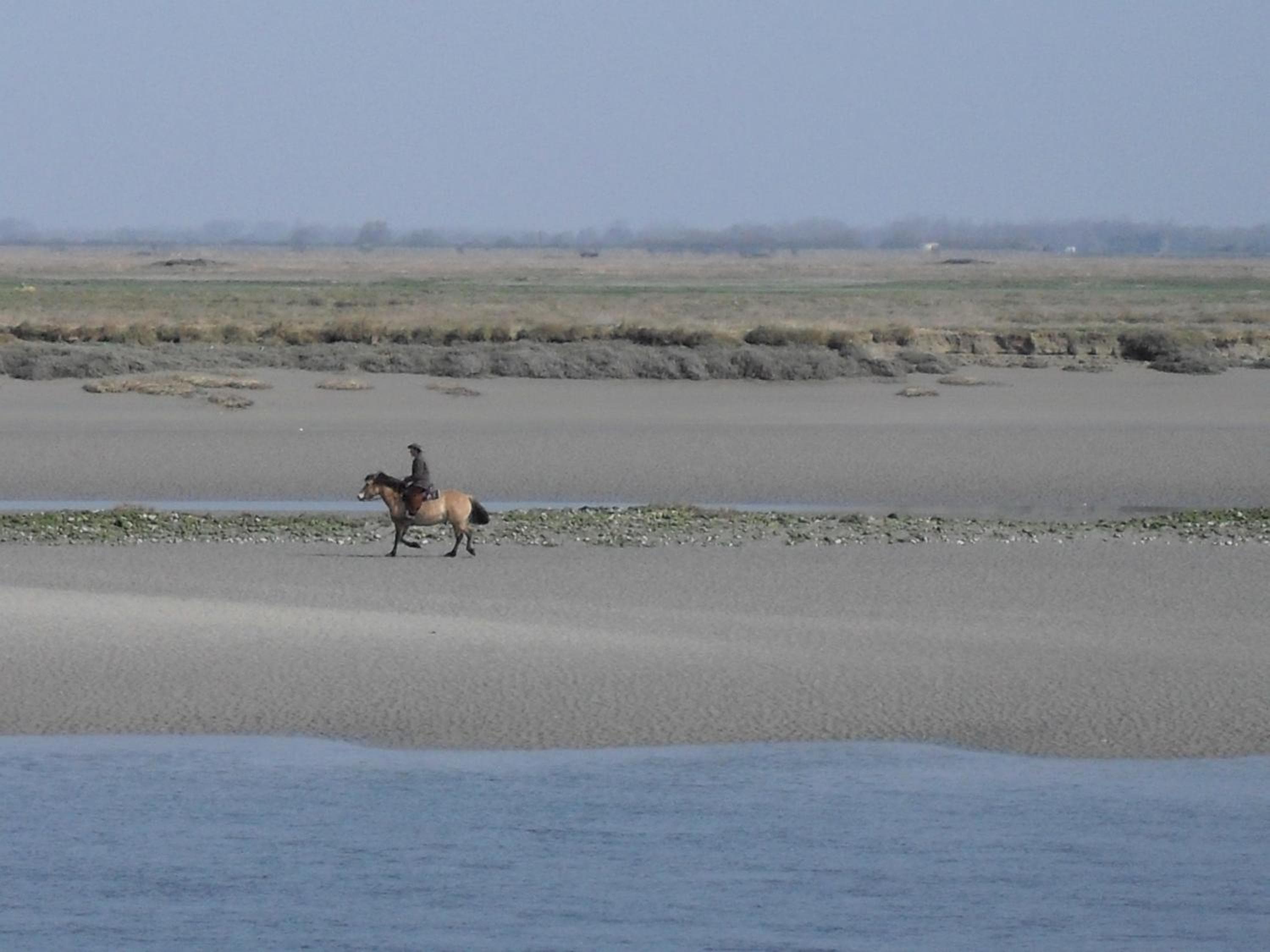 Madame Vacances Les Terrasses De La Plage, Cayeux-sur-Mer, photo 6