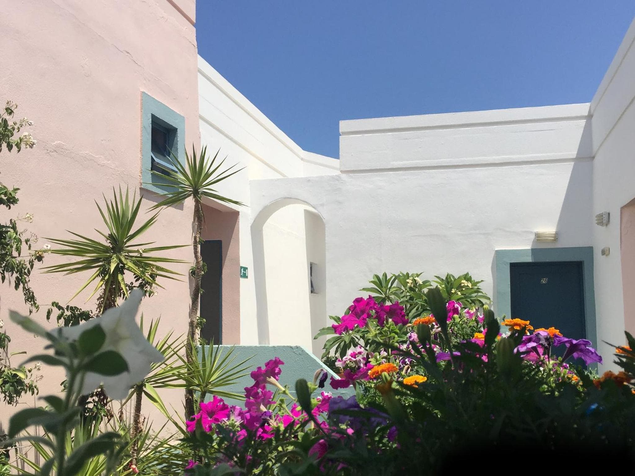 Hotel Kleopatra, Stalós