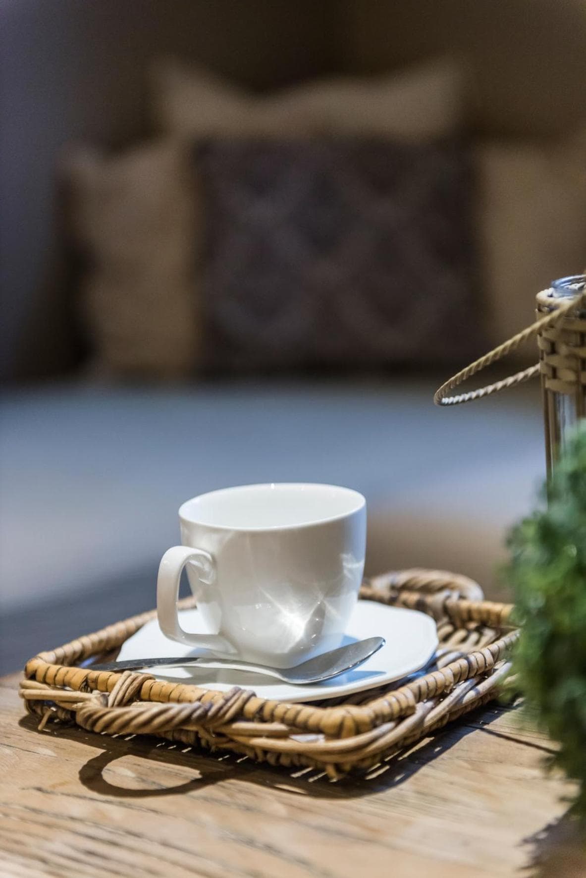 Casa-Cosi, tourist & business suites & flats with reserved parking and private terraces in shared garden with seasonal pool included, private sauna availab, Lokeren