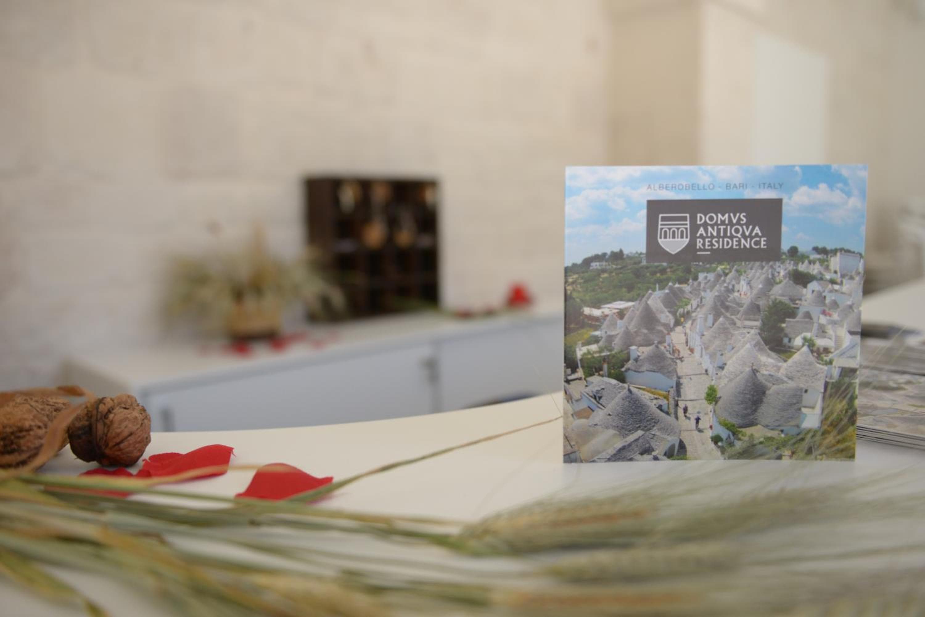 Domus Antiqua Residence, Alberobello, photo 4