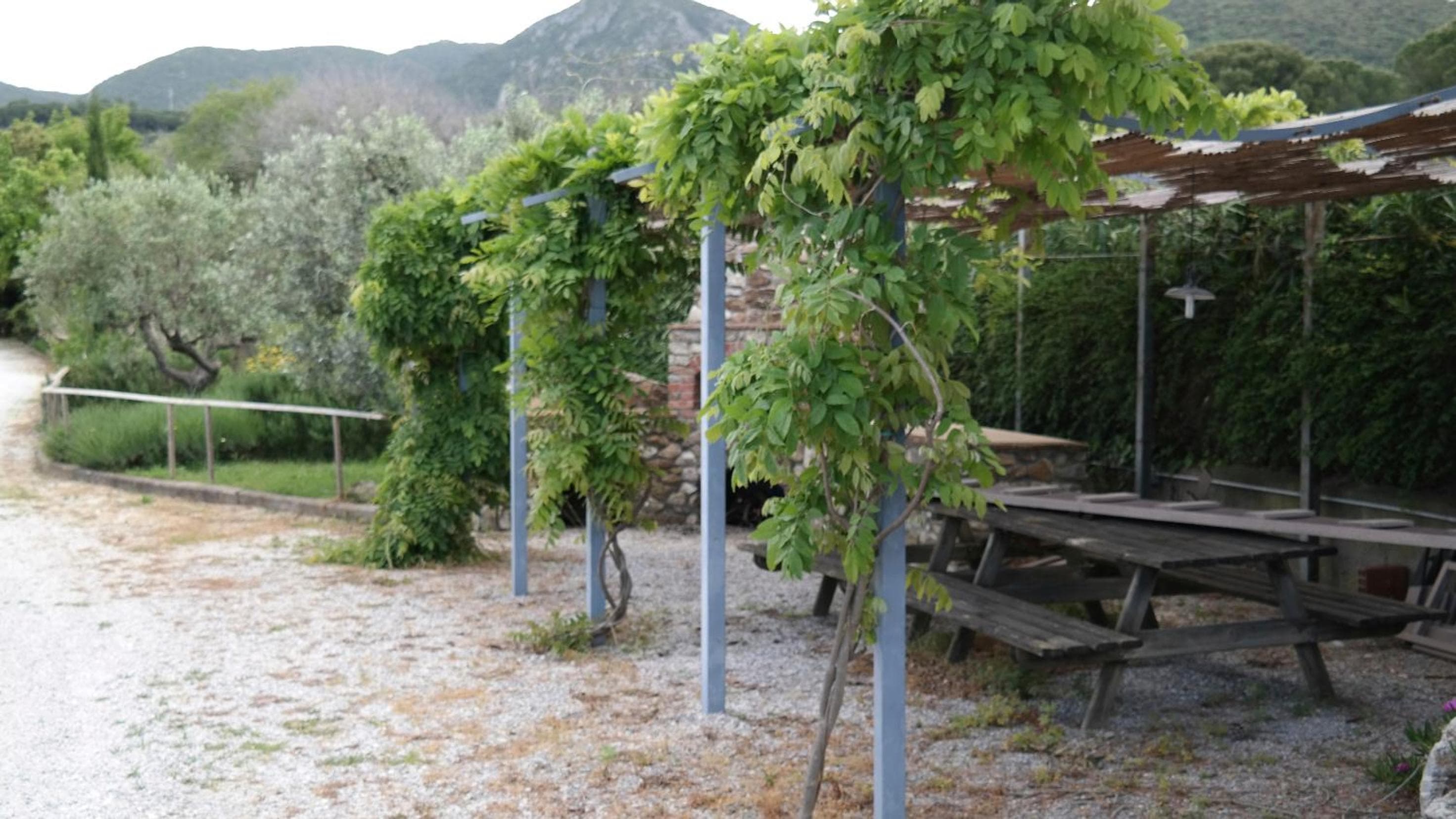 La Muccheria, San Vincenzo, photo 4