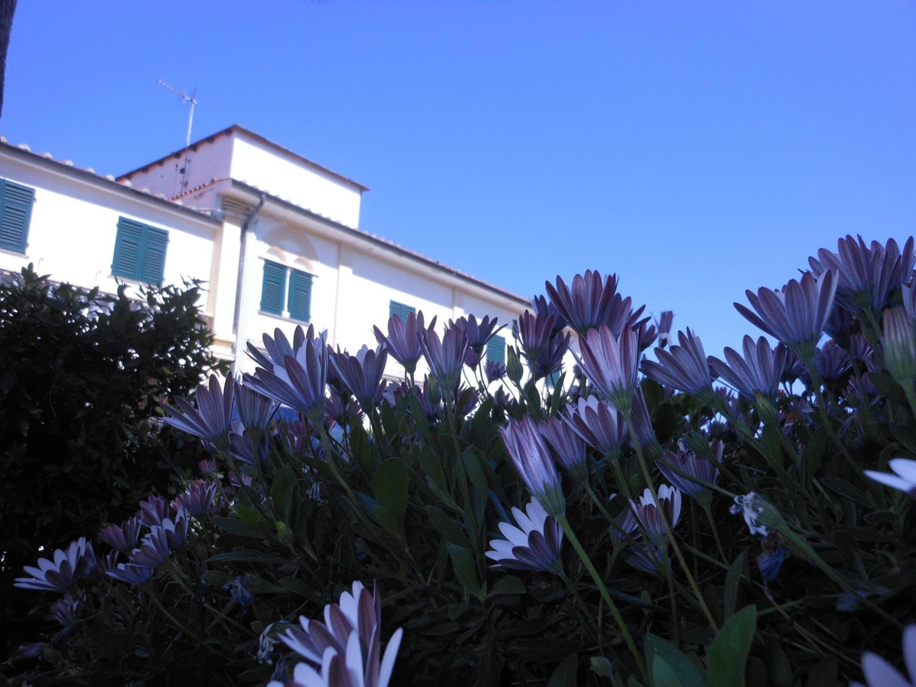 Il Lido, Giannella, photo 5