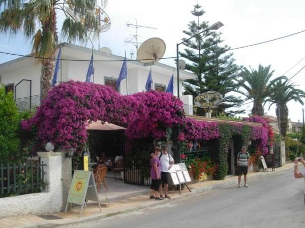 Harry's Bar & Apartments 1, Acharavi