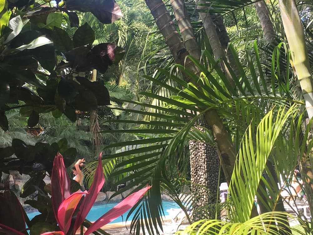 Apartotel Conchita, Jaco, photo 6