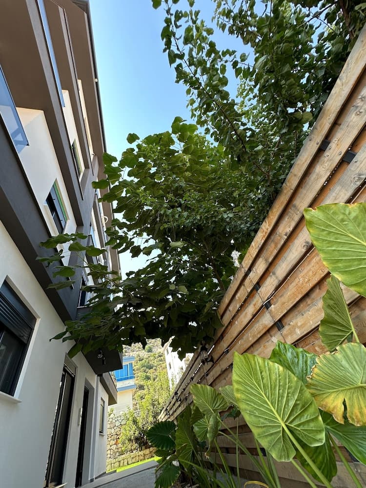 Doğan homes likya, Demre, photo 5
