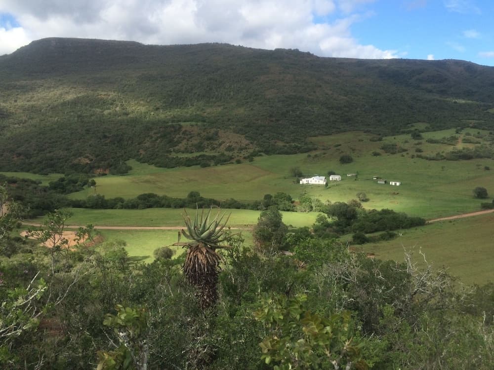 Farm Stays, Here you Will be Able to Relax and Enjoy the Beauty of Nature, Addo