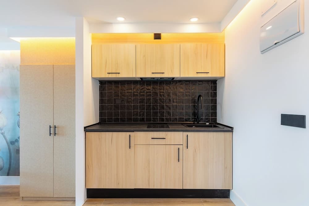 HA Aparthotel Retiro Suites, photo 4