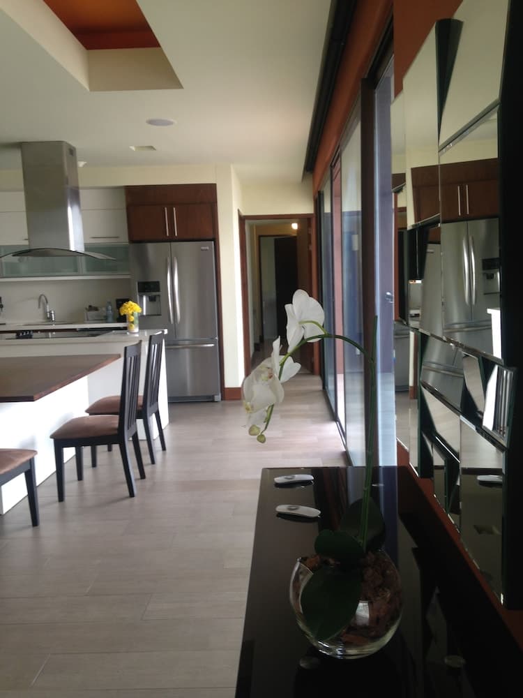 Terra apartment, Guatemala City, photo 2